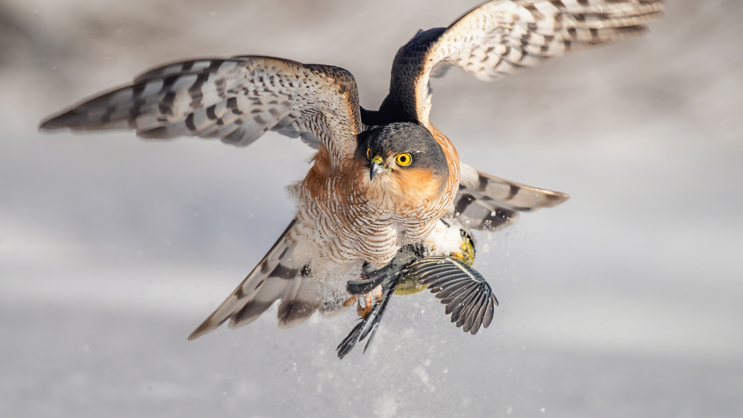 Магазин. Константин Дем | Фотограф