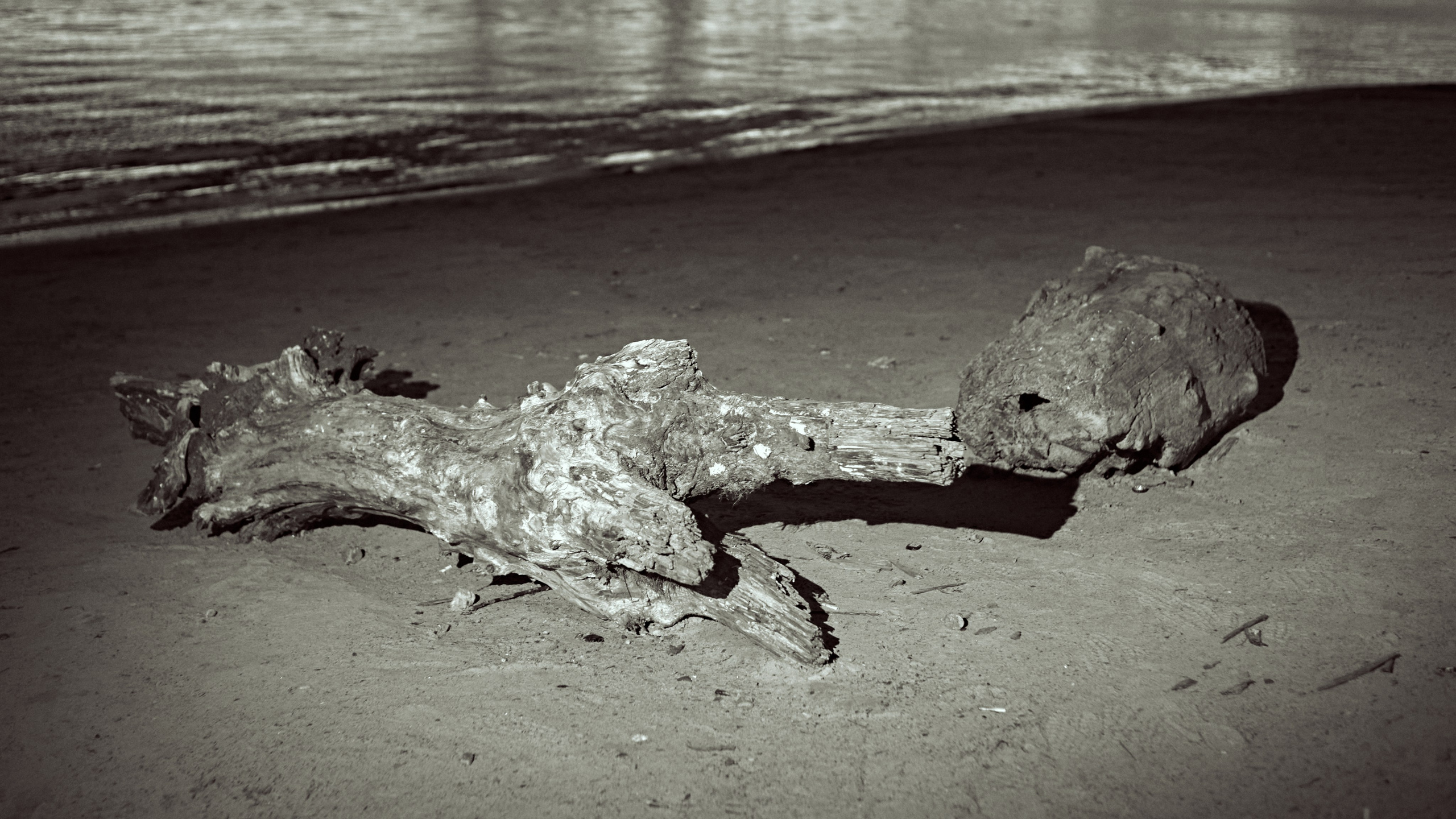 Марфин. Фотограф