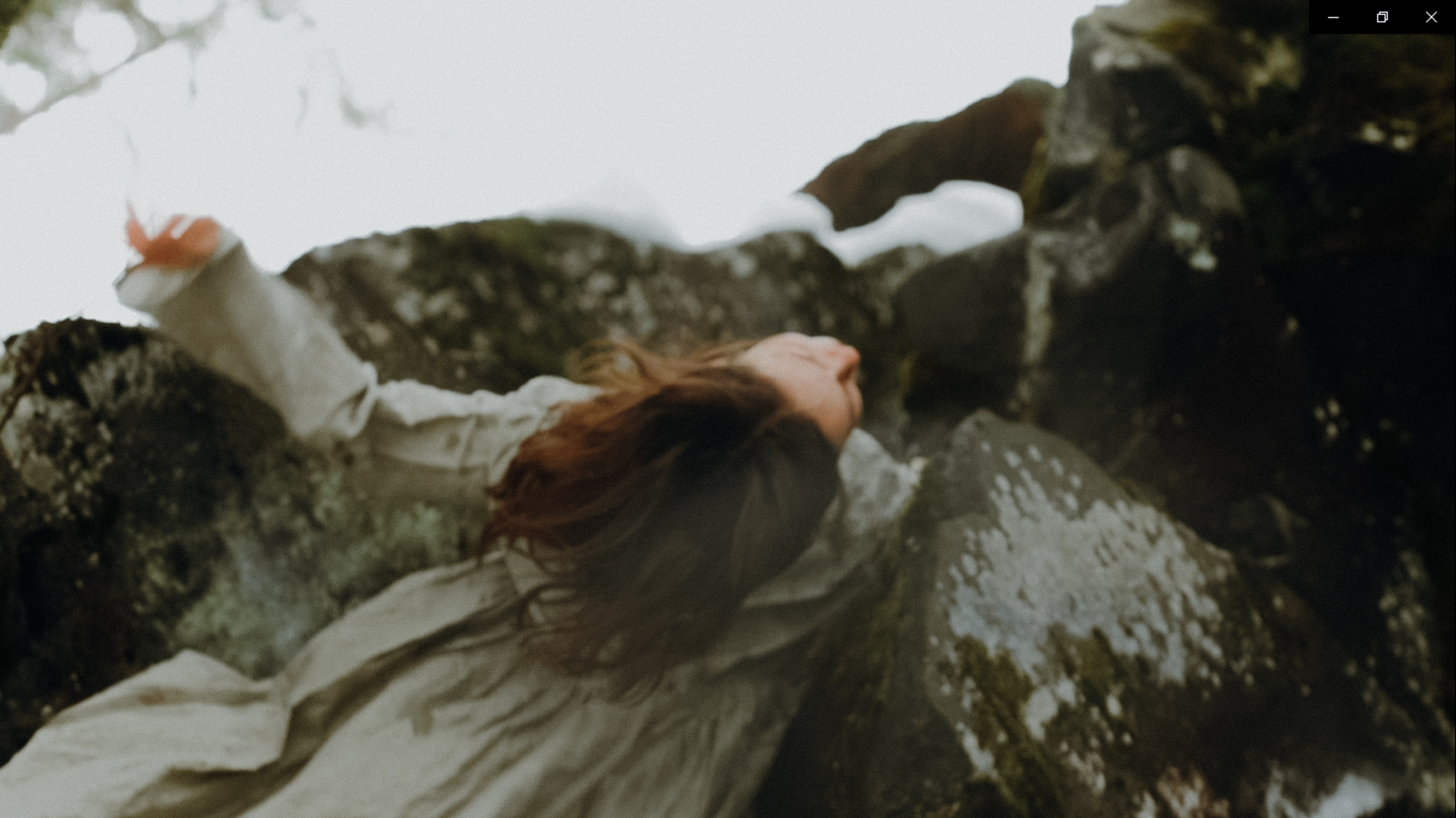 BIRD OF SPIRIT. HOME