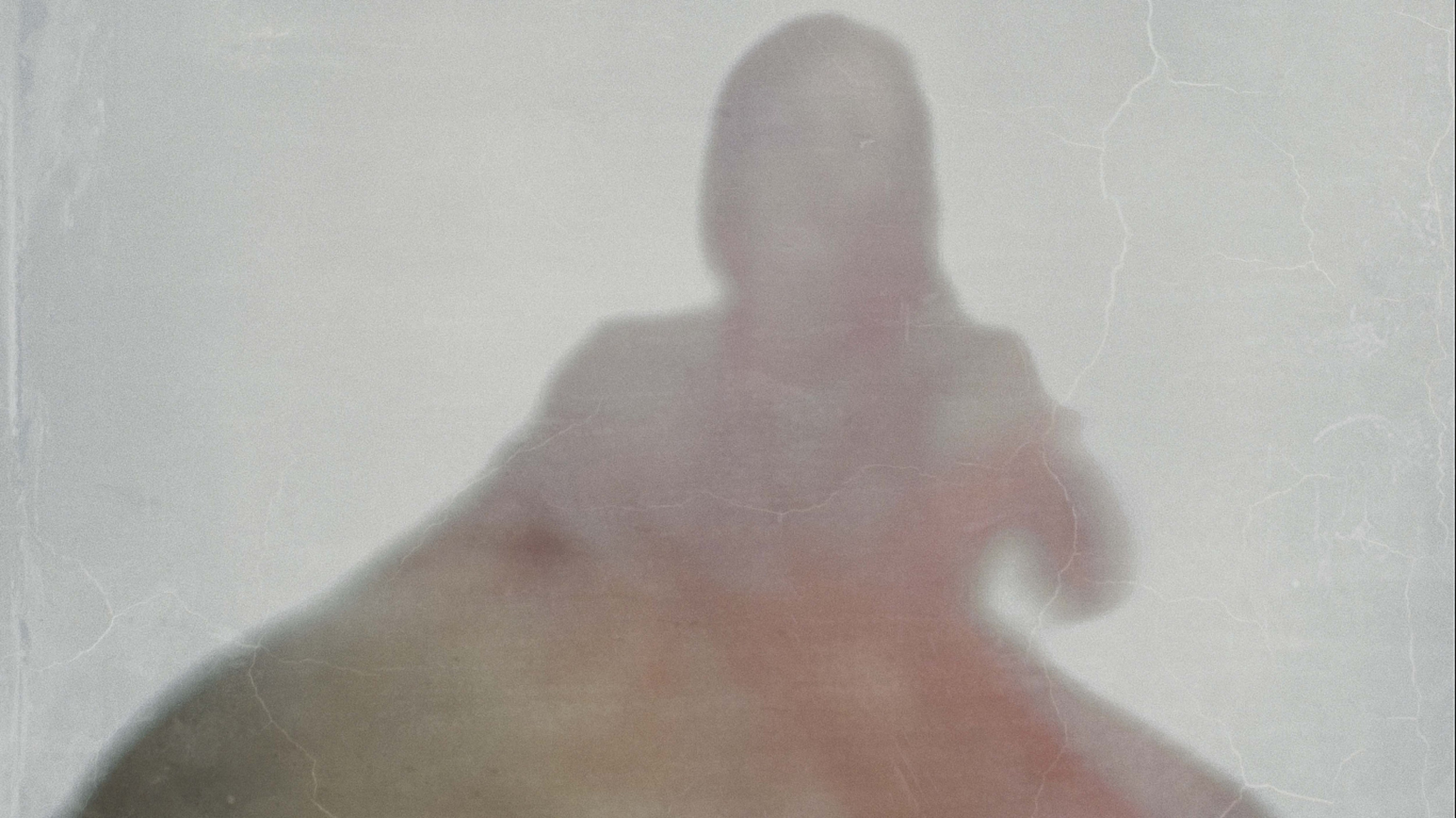 BIRD OF SPIRIT. HOME