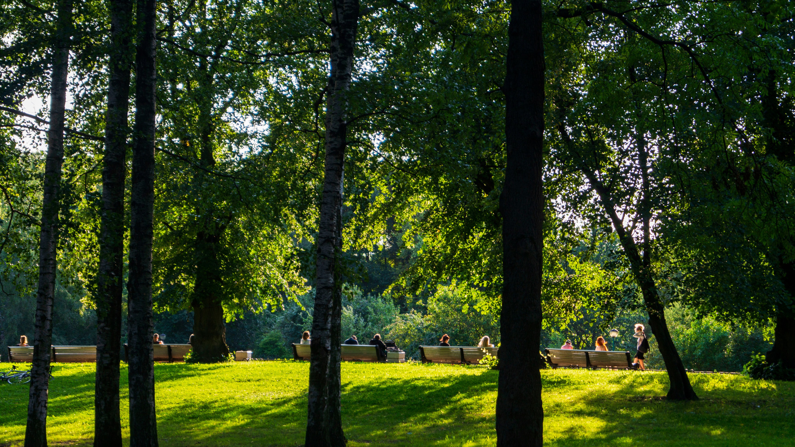 Обо мне. Портретный и семейный фотограф Санкт-Петербург