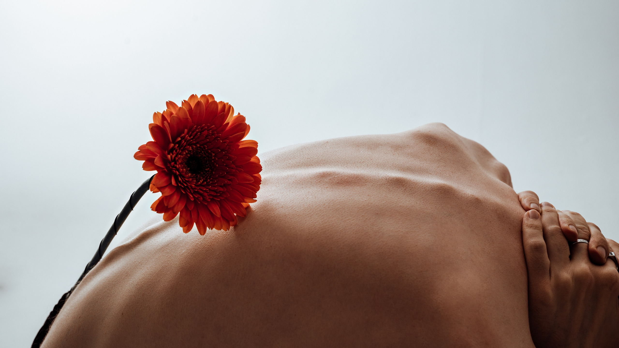 Услуги. Фотограф и видеограф в Москве Мария Малкич