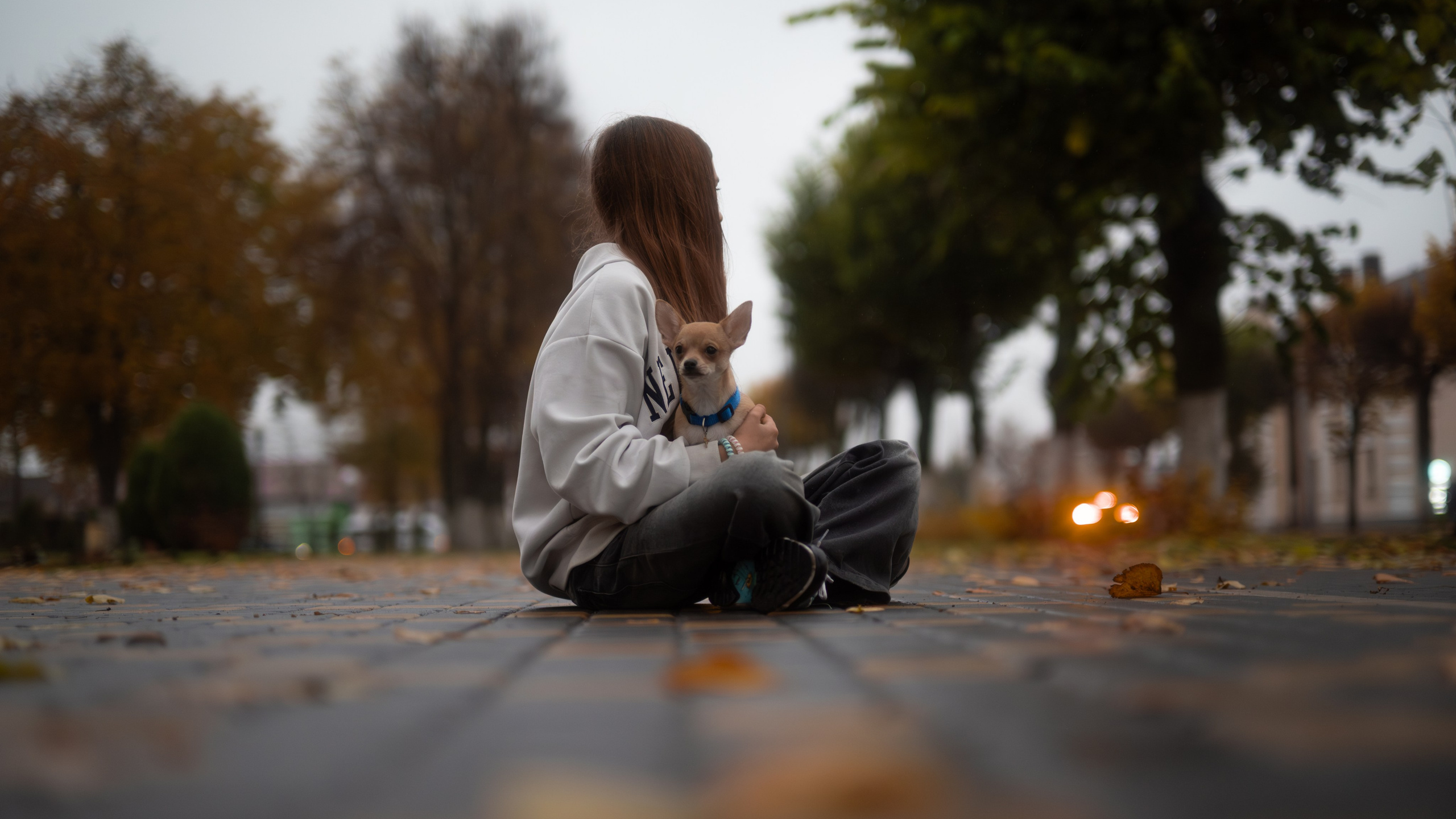 Услуги. Фотограф — анималист RISHELL PHOTO