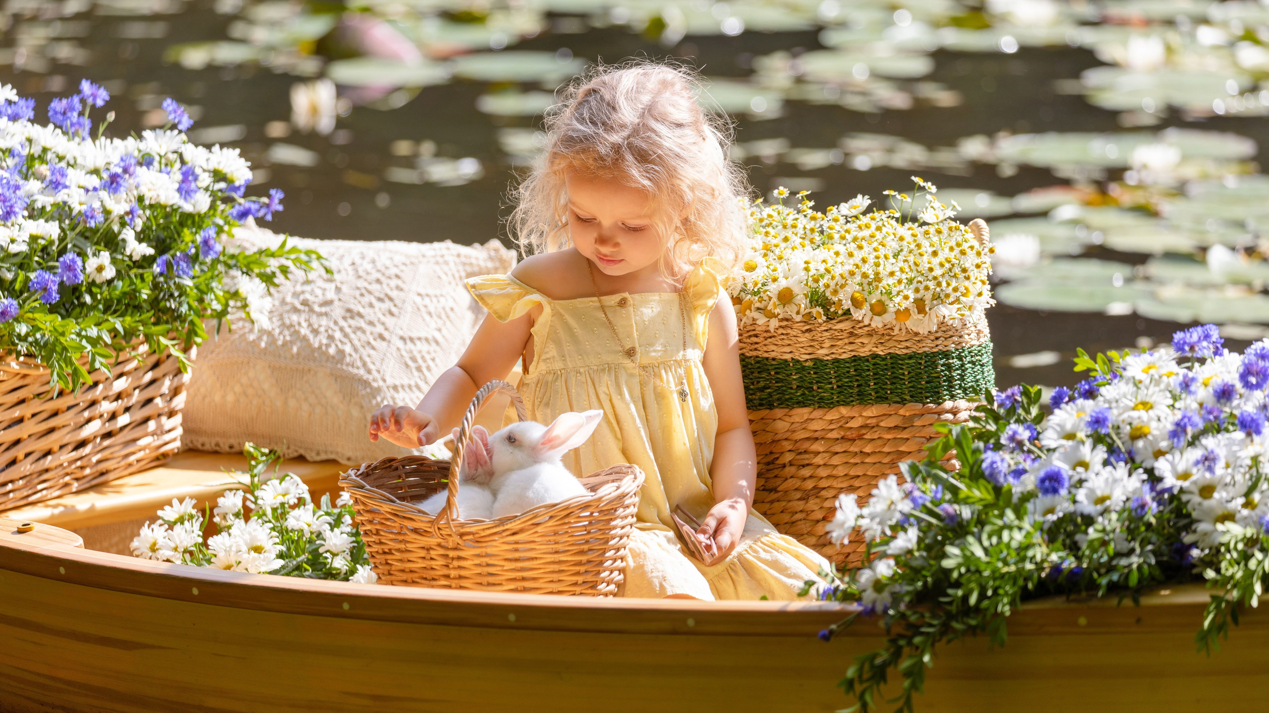 девушка с собакой корги лежат на траве в парке и едят арбуз