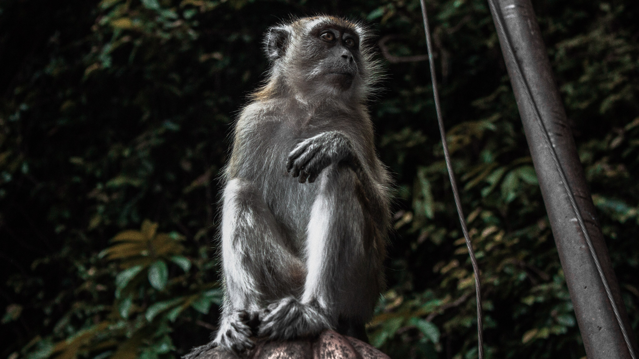 фотограф Краснодар, Туапсе