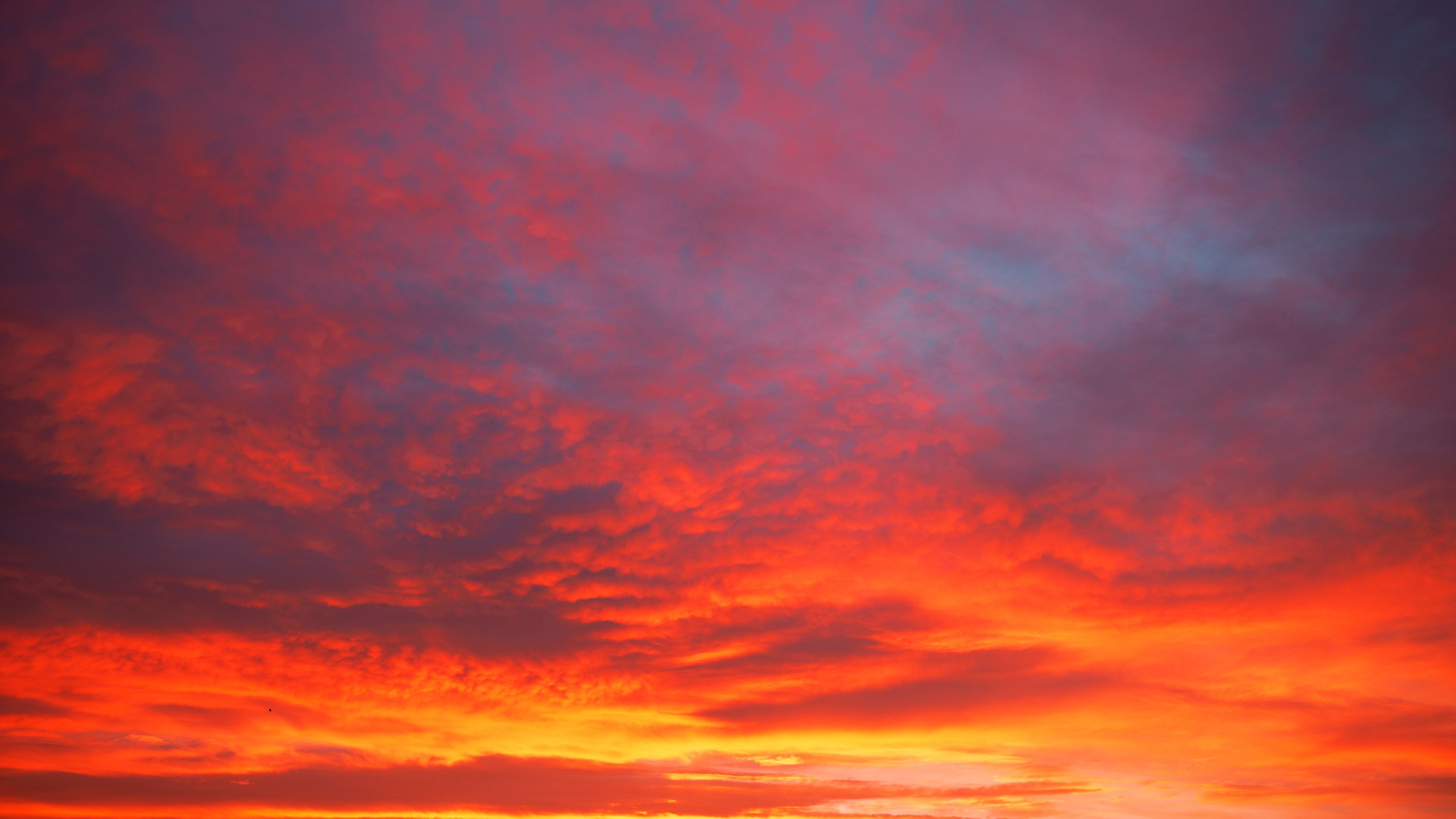 Посмотри наверх. Профессиональная High-End Ретушь | Ретушер и предметный фотограф Алла Белова