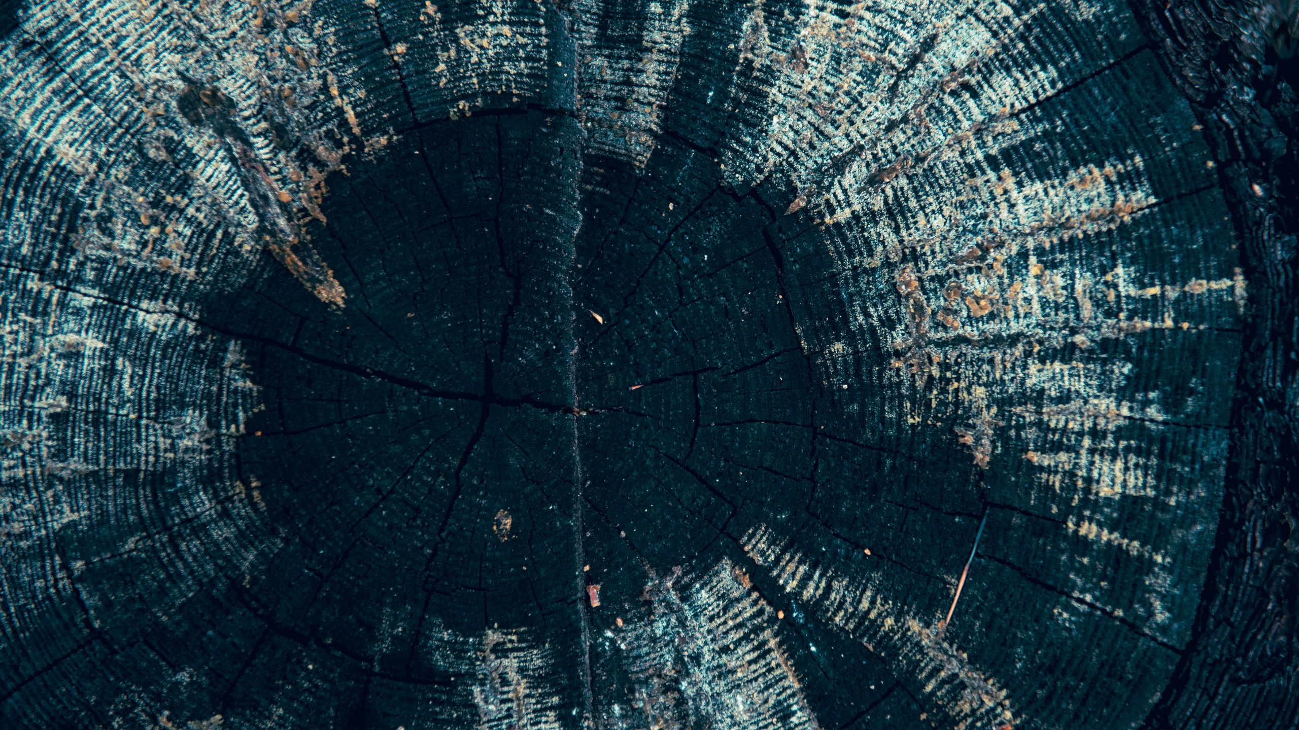 Прогулка. Профессиональная High-End Ретушь | Ретушер и предметный фотограф Алла Белова