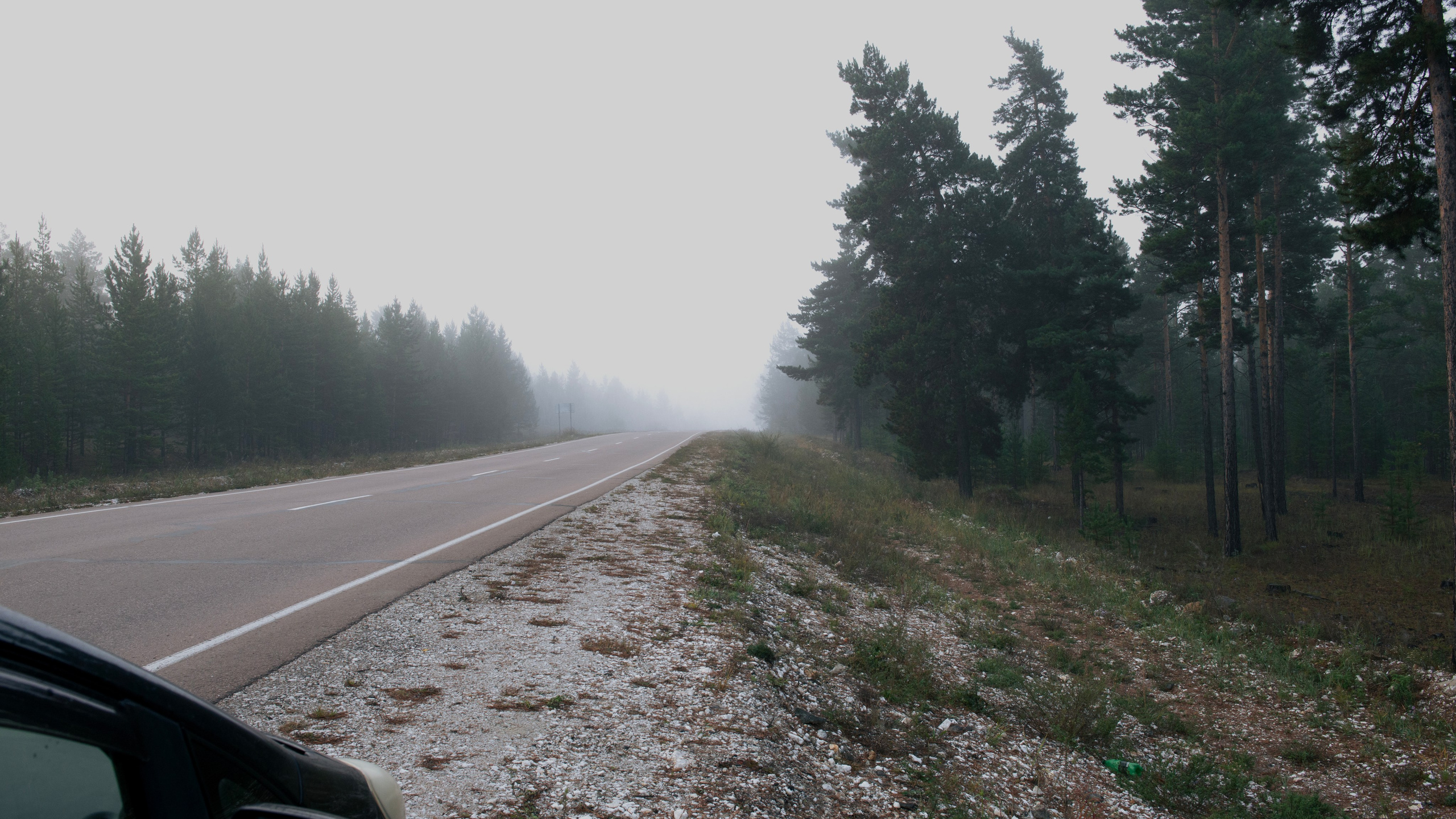 Прогулка. Профессиональная High-End Ретушь | Ретушер и предметный фотограф Алла Белова