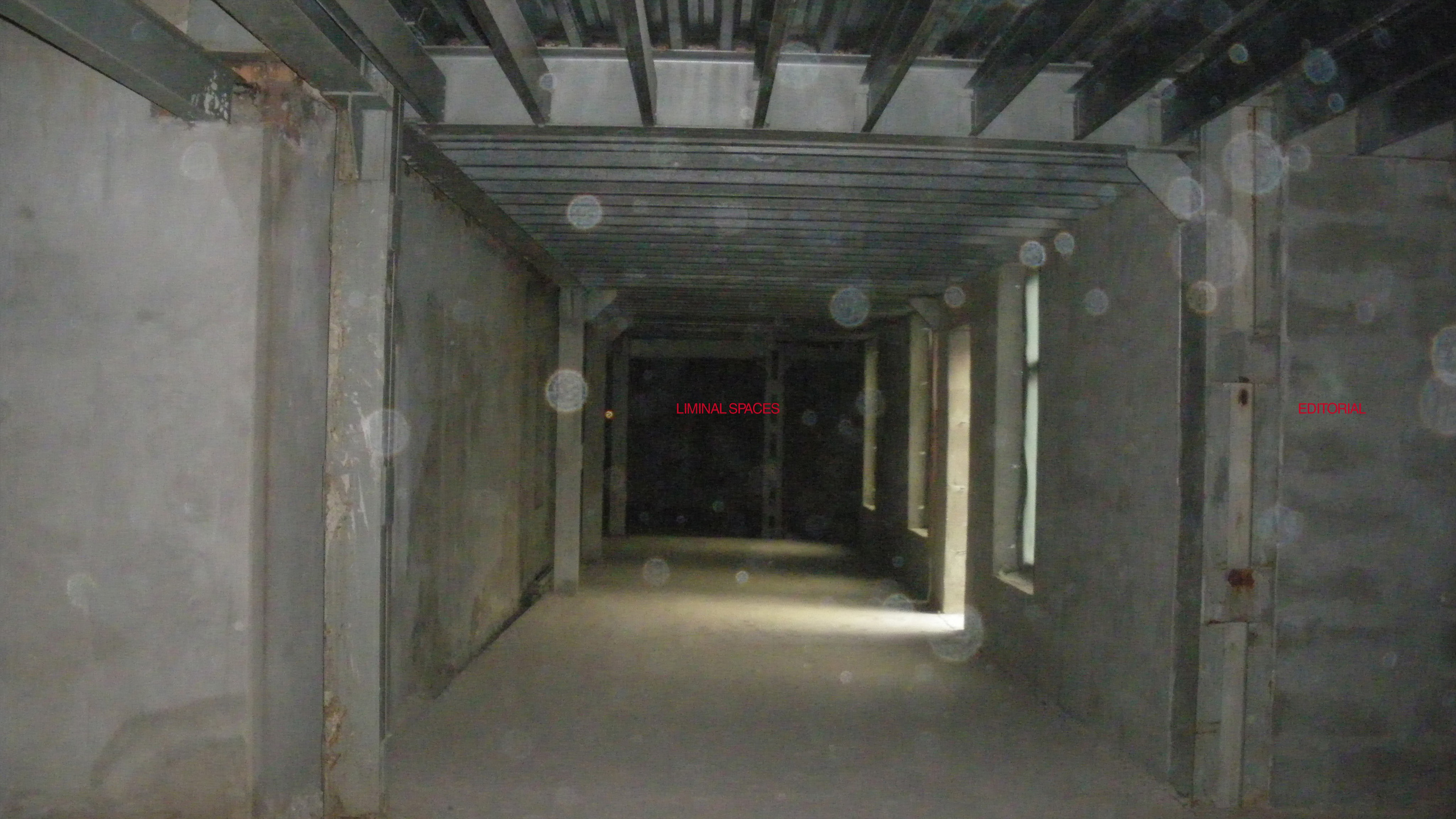 FASHION. Креативный продюсер и арт-директор в Санкт-Петербурге Марина Кадын