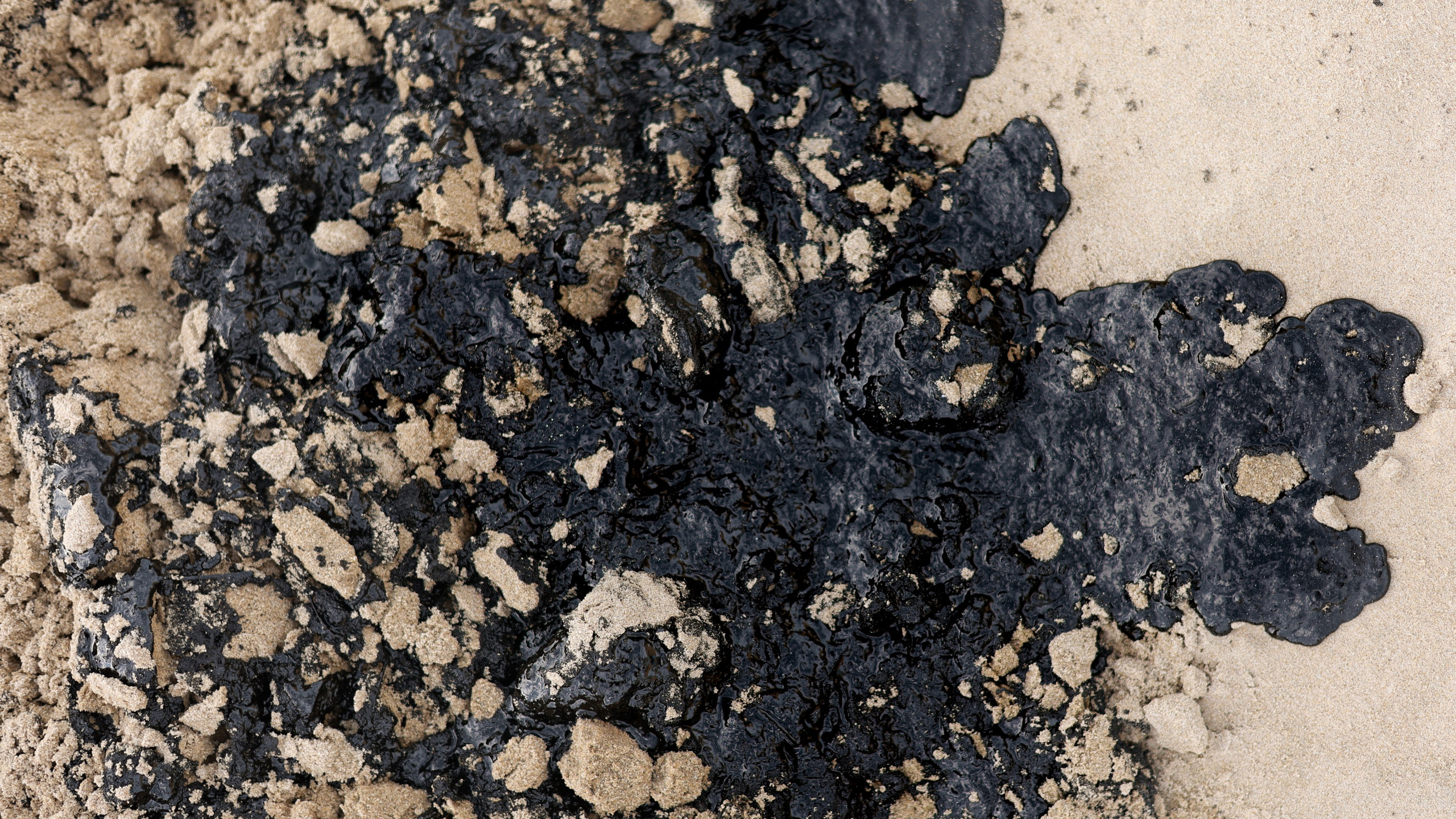 Фотовыставка «Черное море» | nasa loseva