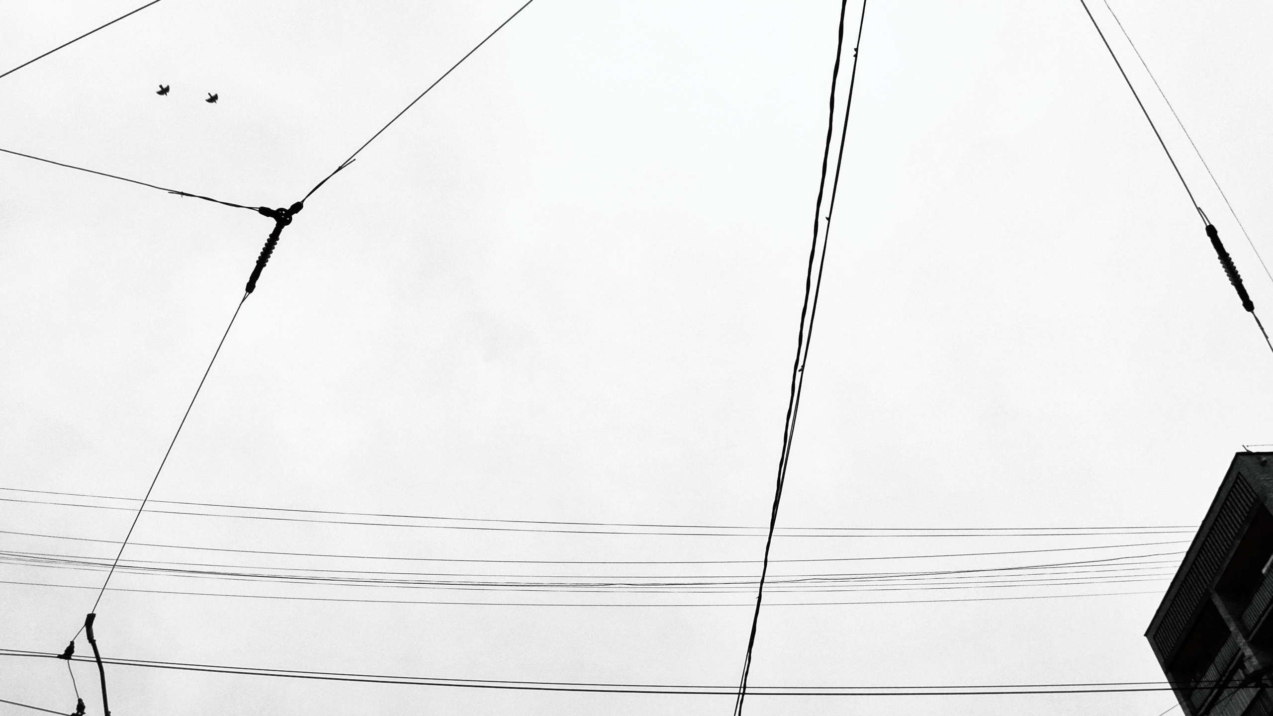 «ENTANGLEMENT.CITY». Концертный и портретный фотограф в Москве, Рамиль Газизов