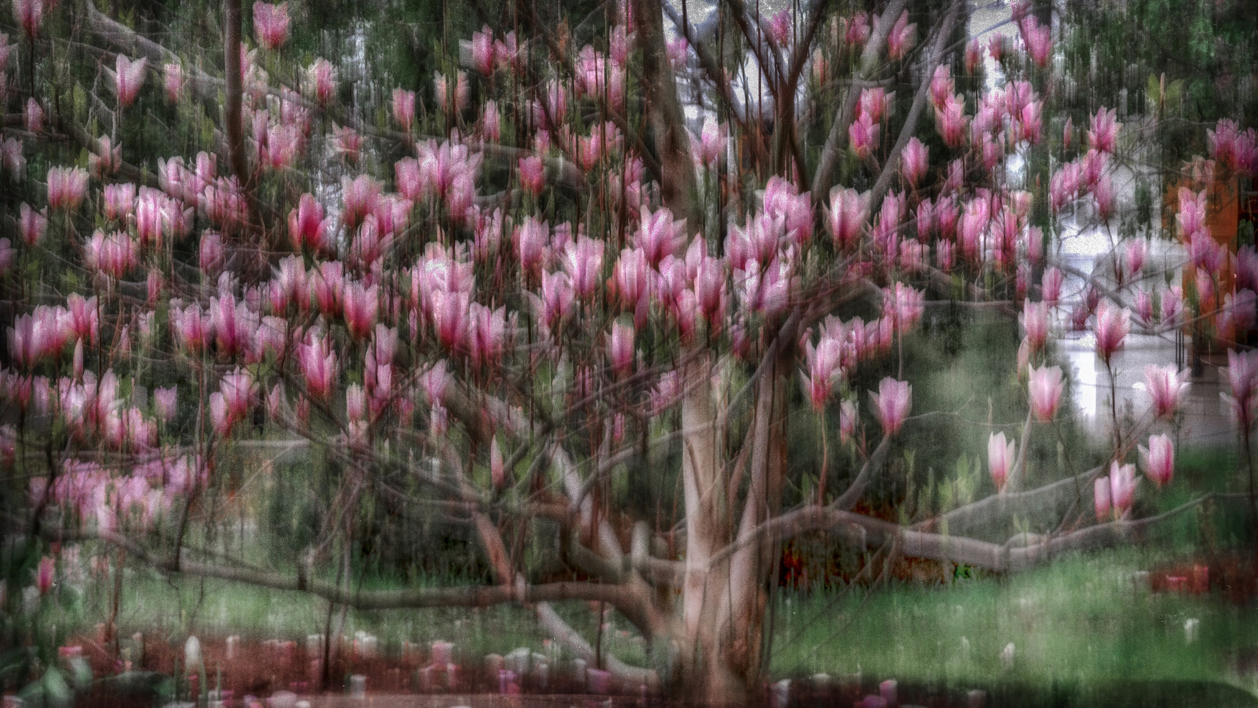 Интерьерная фотография. Фотограф Ольга Дунаева