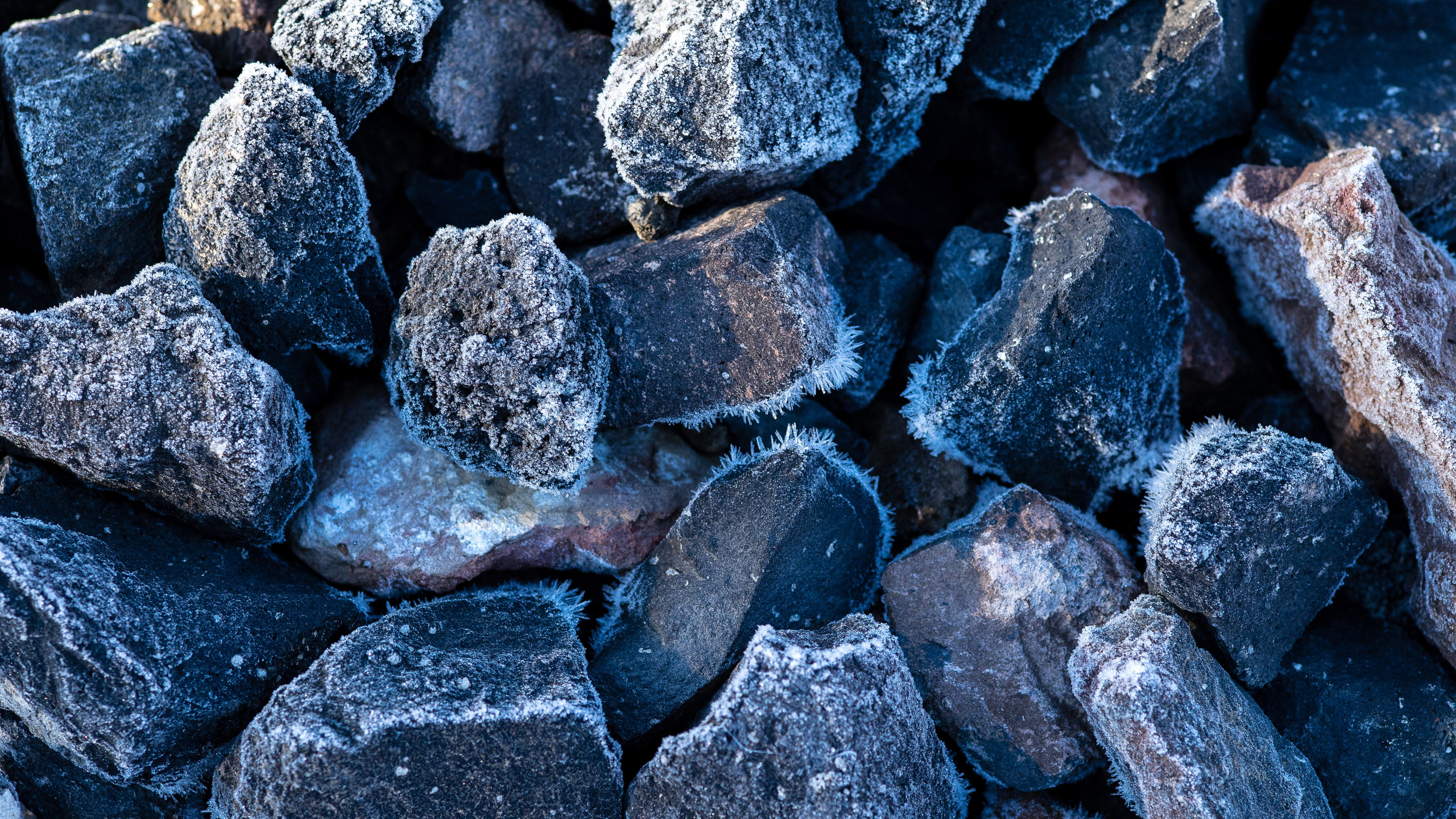 Frozen Nature. Oleg Kozachok — Photographer with Protanopia | Portraits, Texture & Light