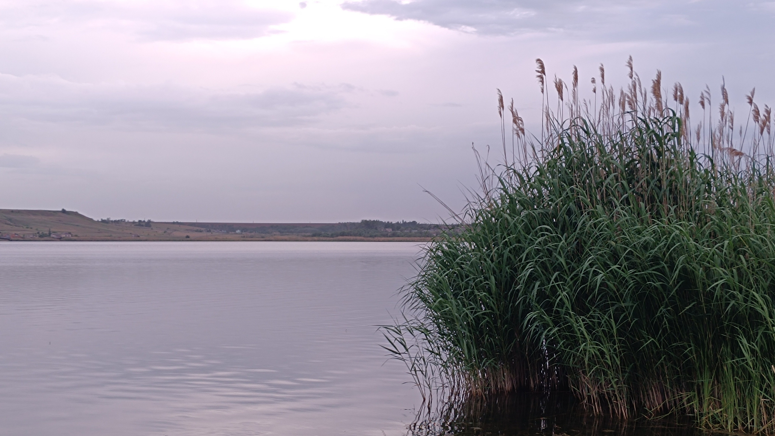 Читальный зал. Марина Рыбкина — Глубинная психология