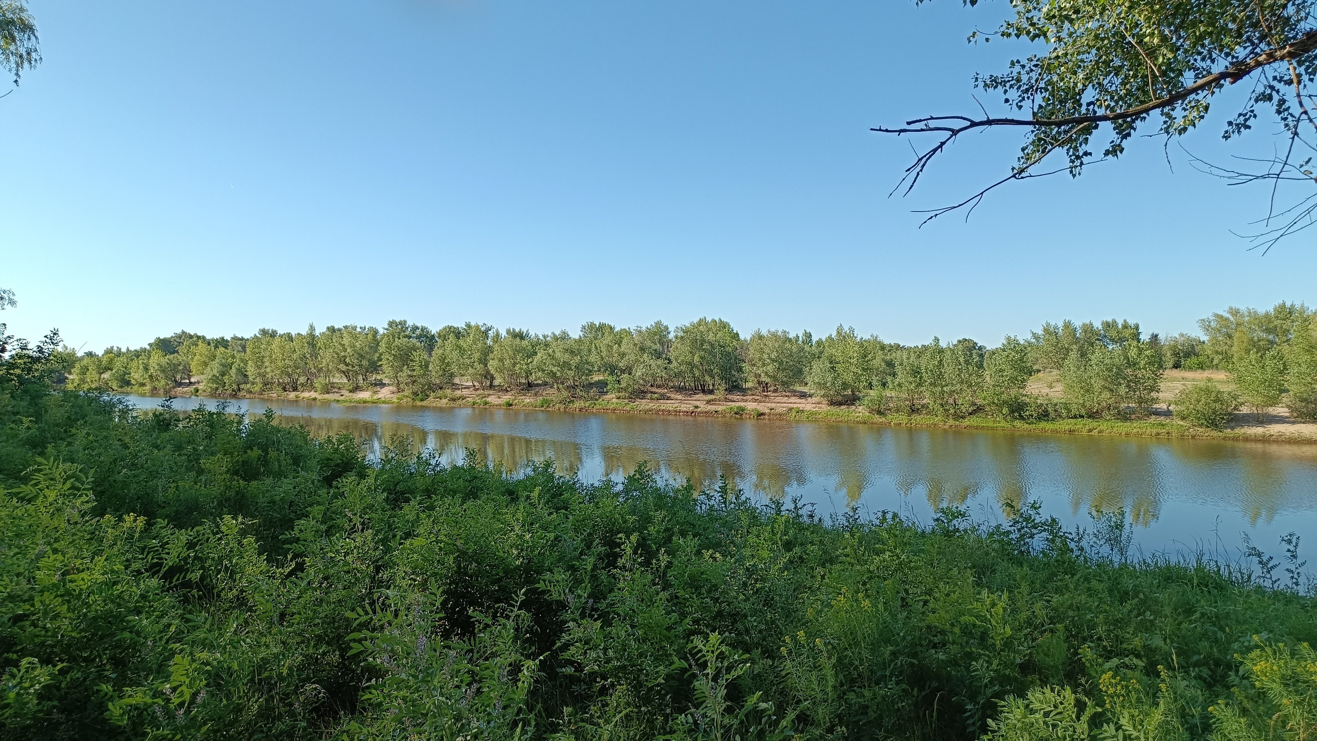 Читальный зал. Марина Рыбкина — Глубинная психология