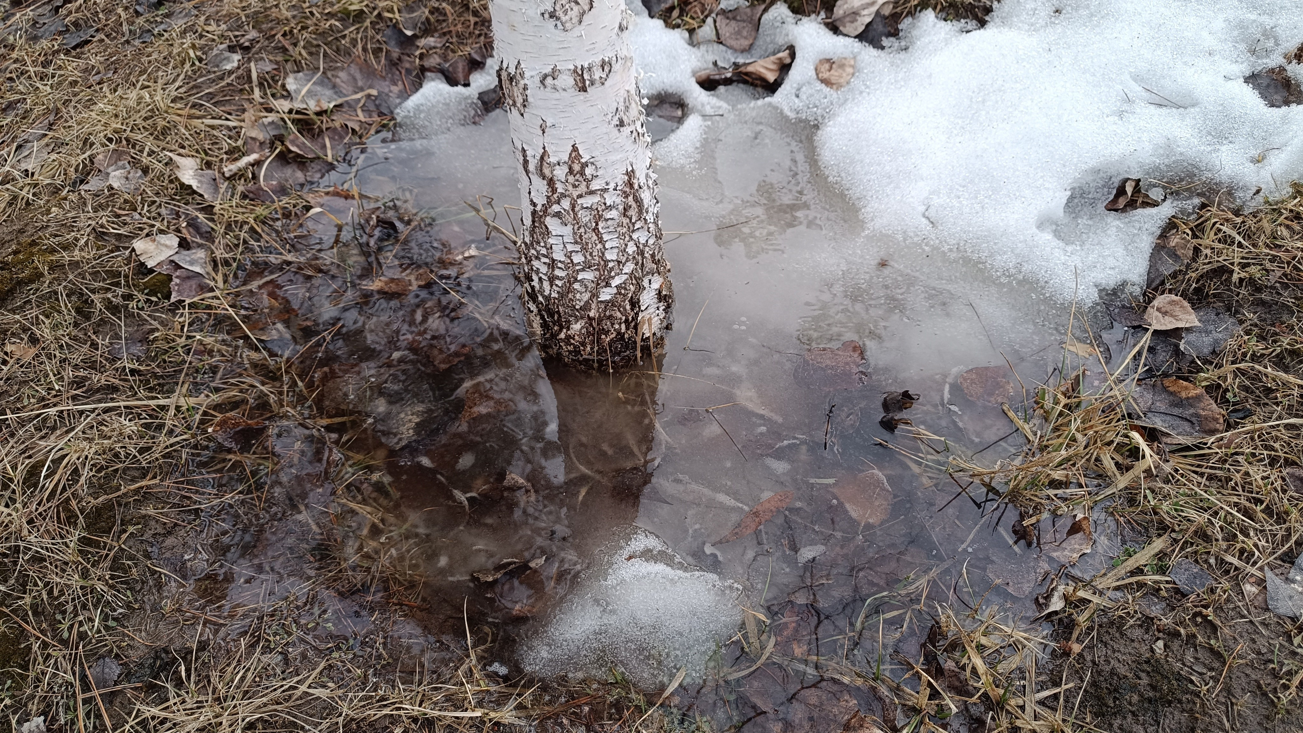 Читальный зал. Марина Рыбкина — Глубинная психология