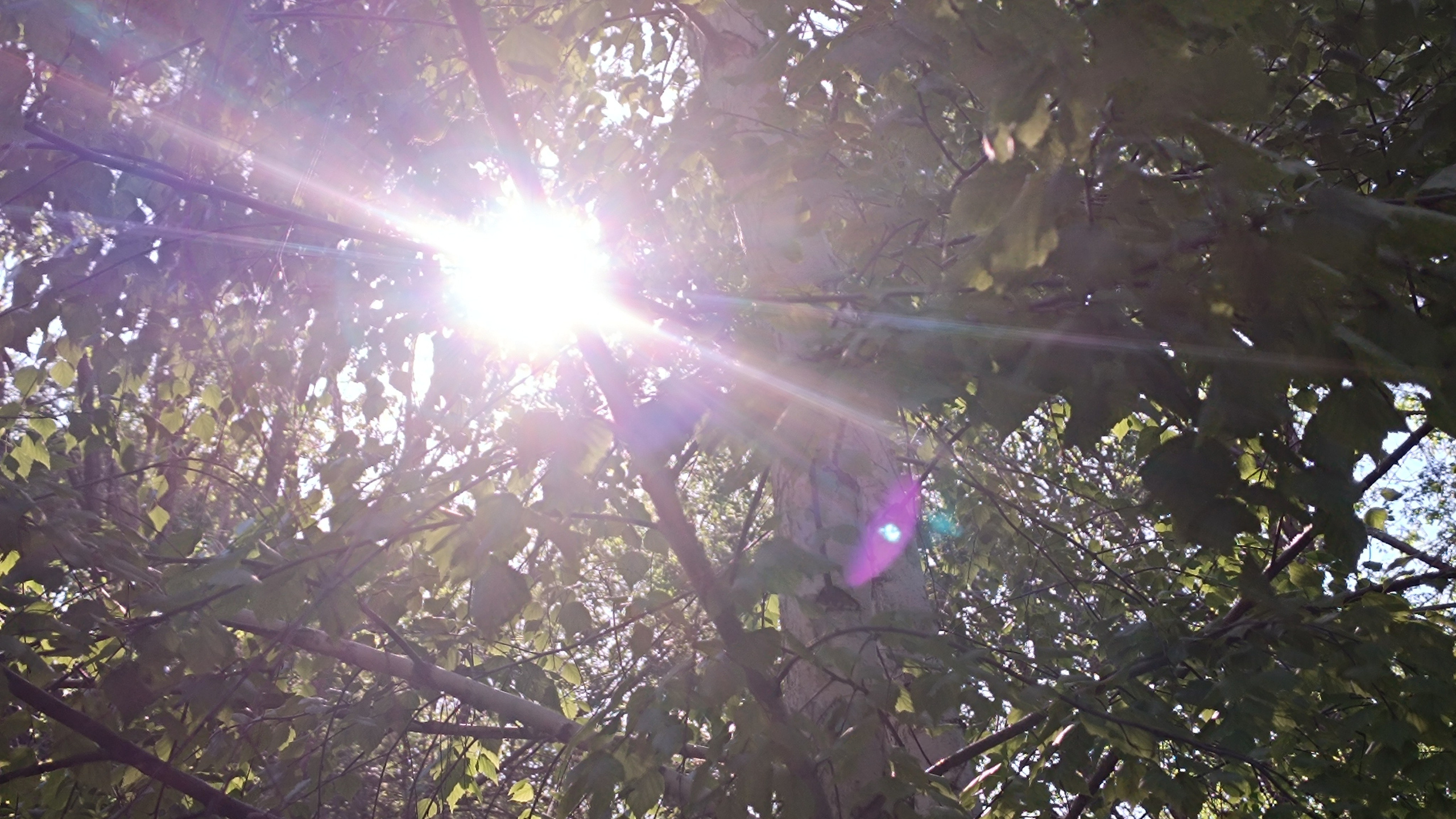 Читальный зал. Марина Рыбкина — Глубинная психология