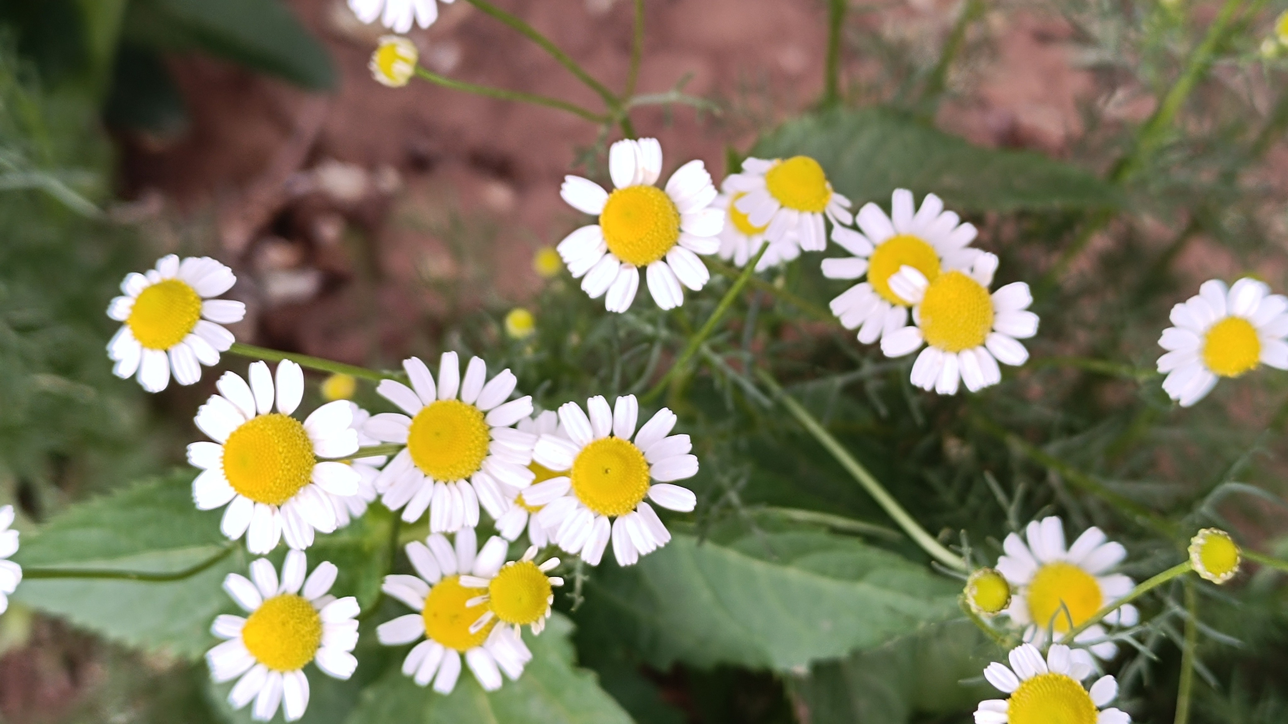 Сама жизнь — радость. Марина Рыбкина — Глубинная психология