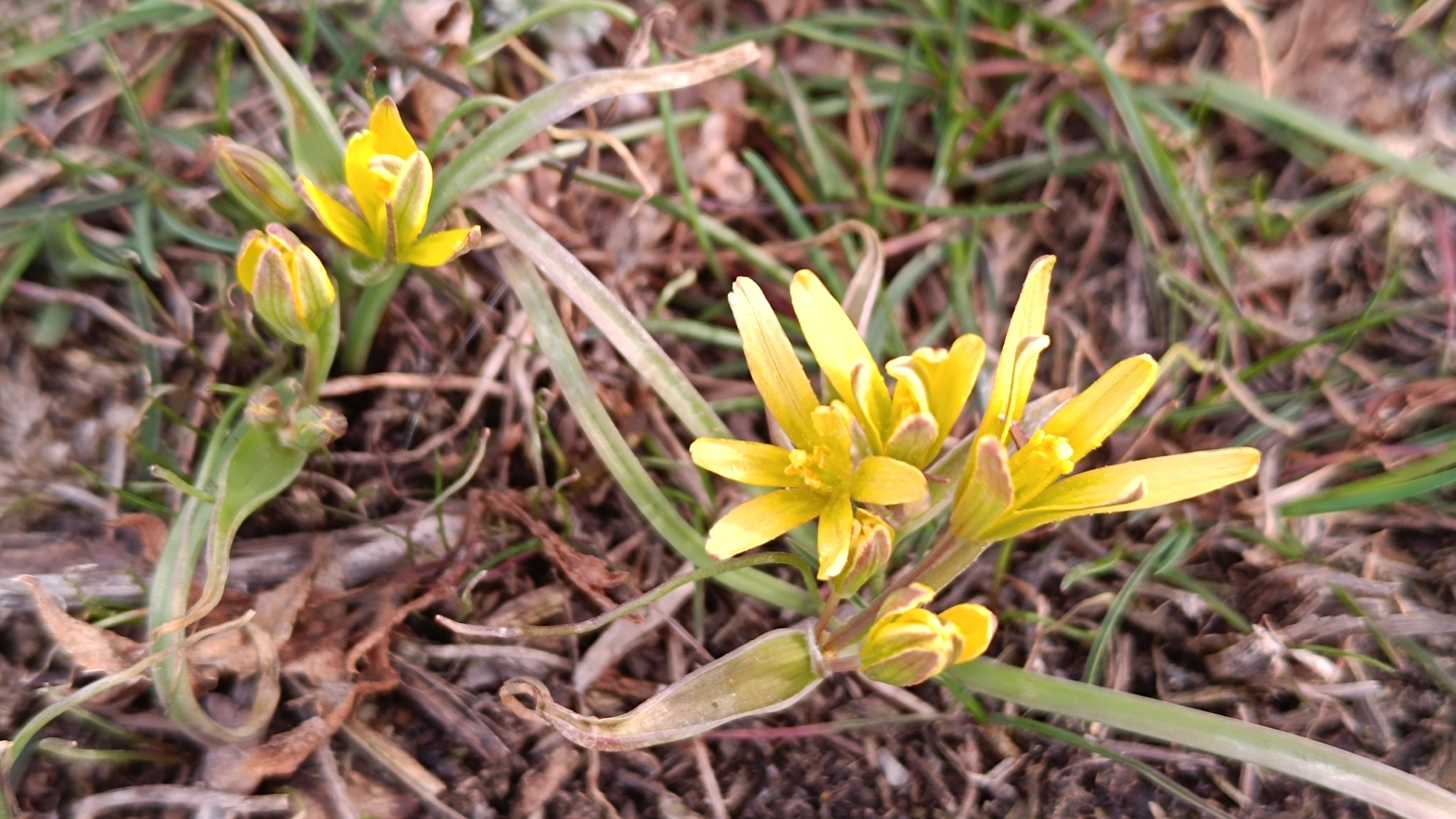 Читальный зал. Марина Рыбкина — Глубинная психология