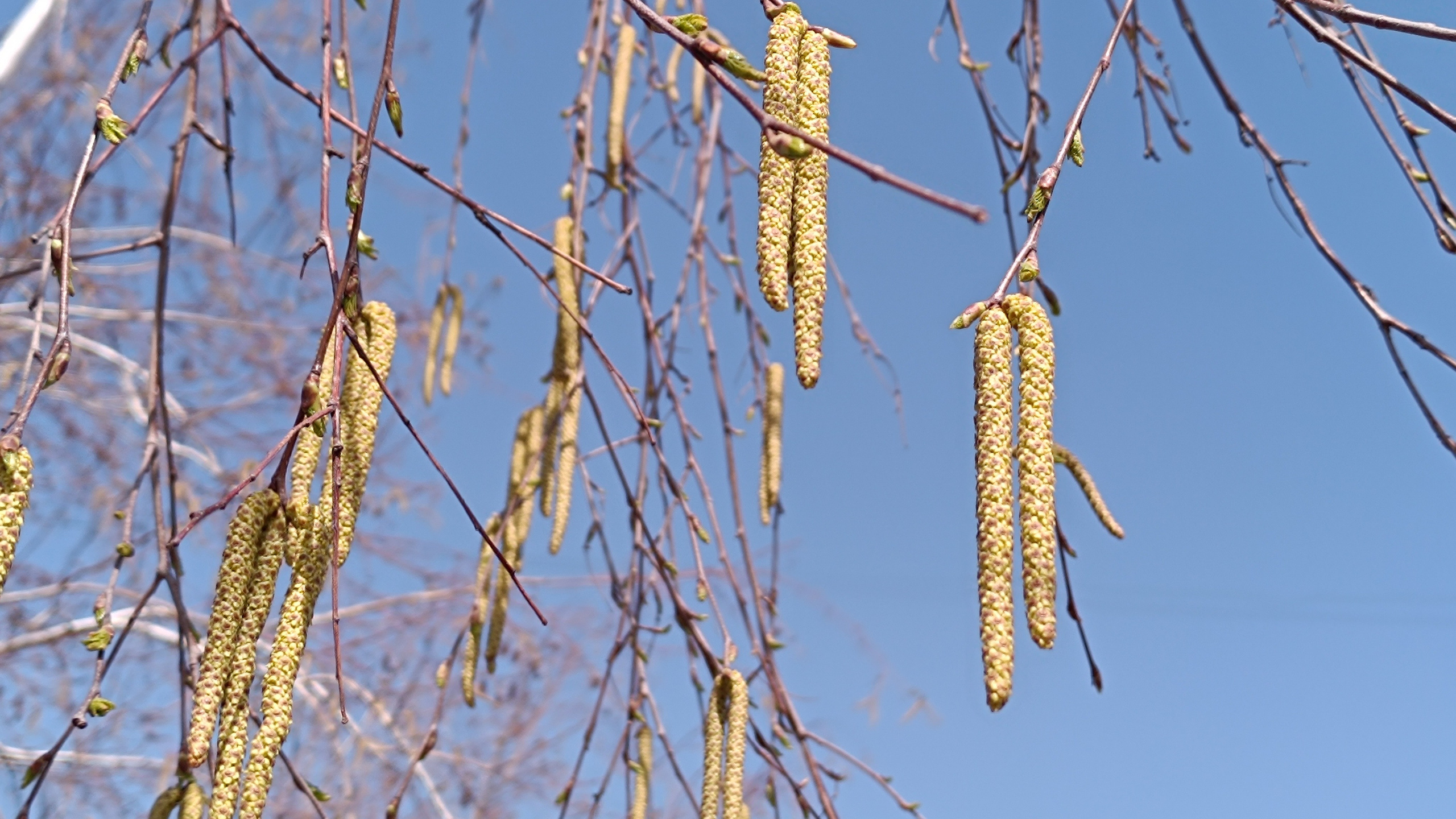 Читальный зал. Марина Рыбкина — Глубинная психология