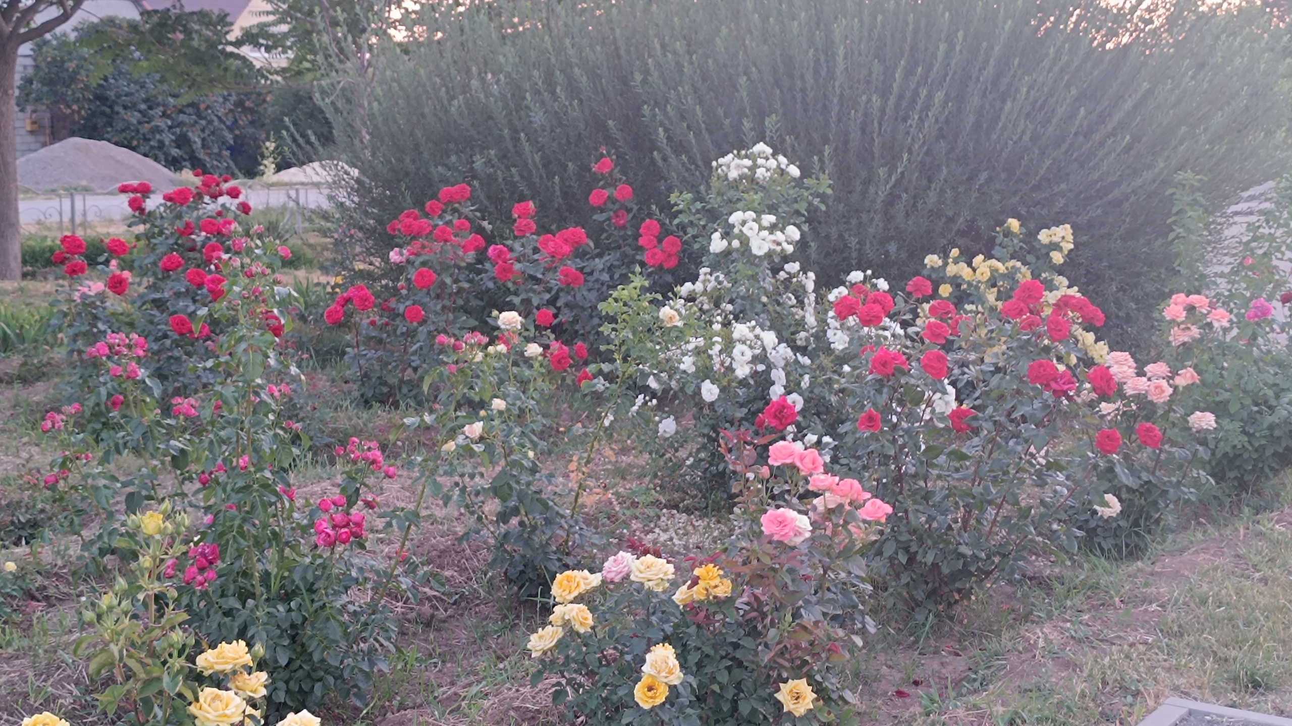 Читальный зал. Марина Рыбкина — Глубинная психология