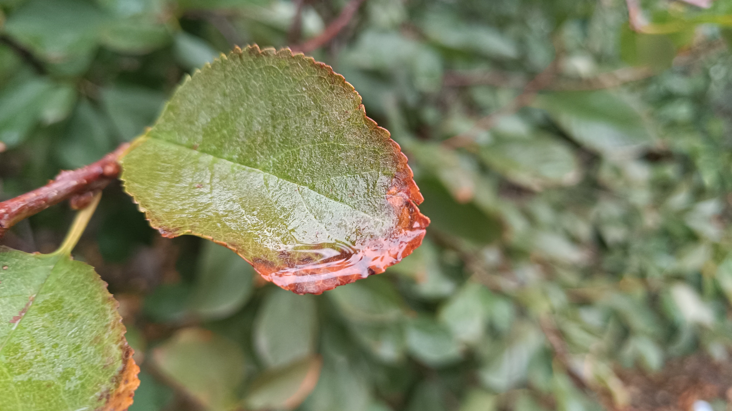 Читальный зал. Марина Рыбкина — Глубинная психология