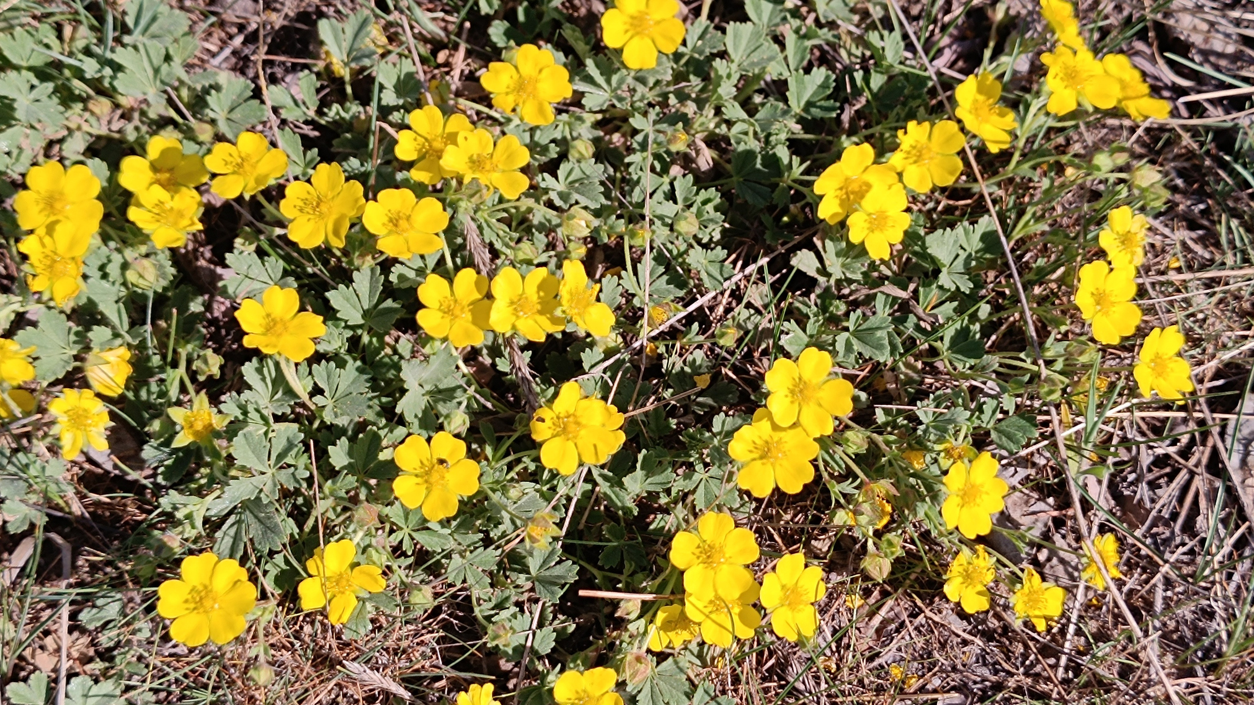 Сама жизнь — радость. Марина Рыбкина — Глубинная психология