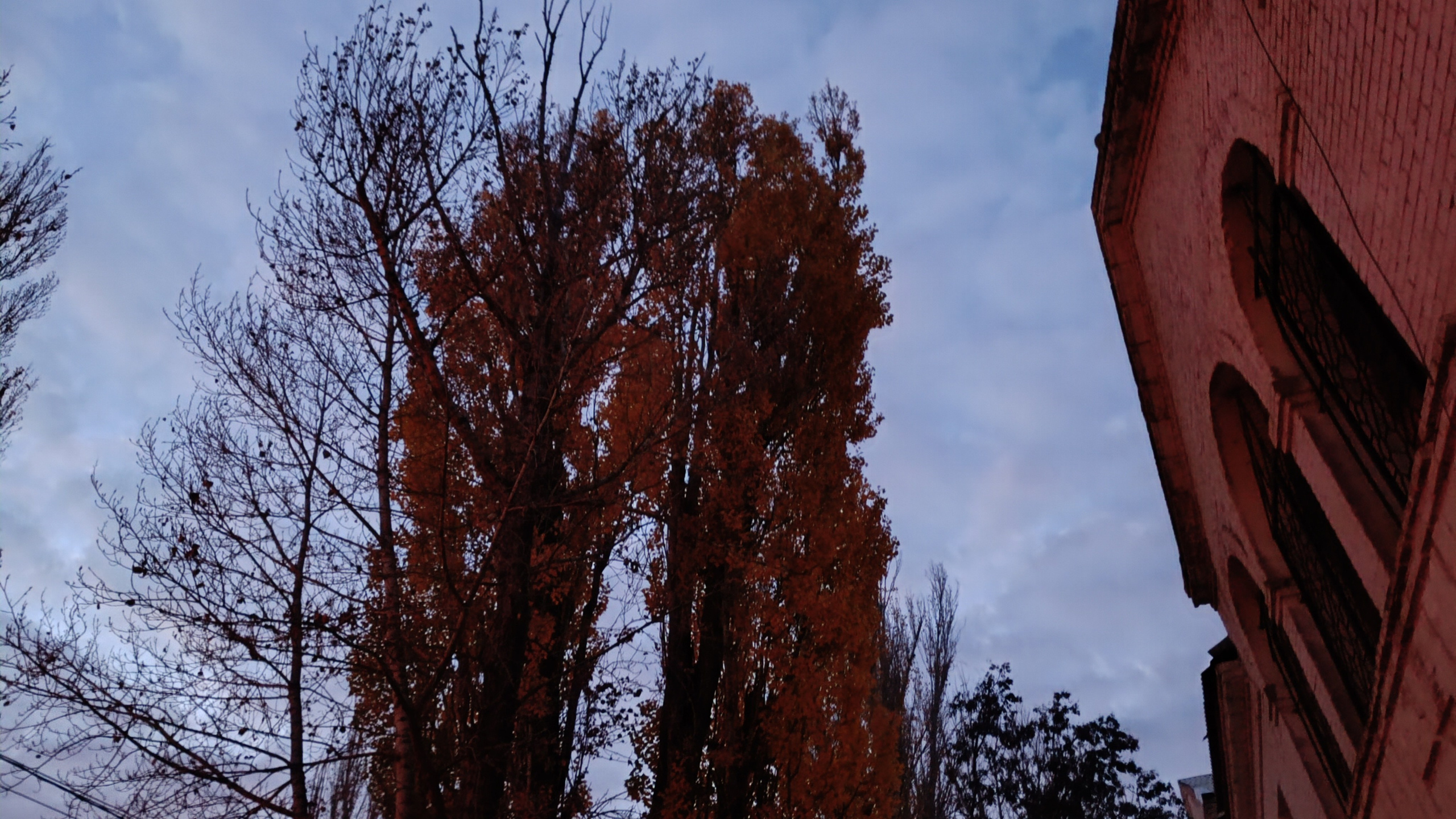 Читальный зал. Марина Рыбкина — Глубинная психология