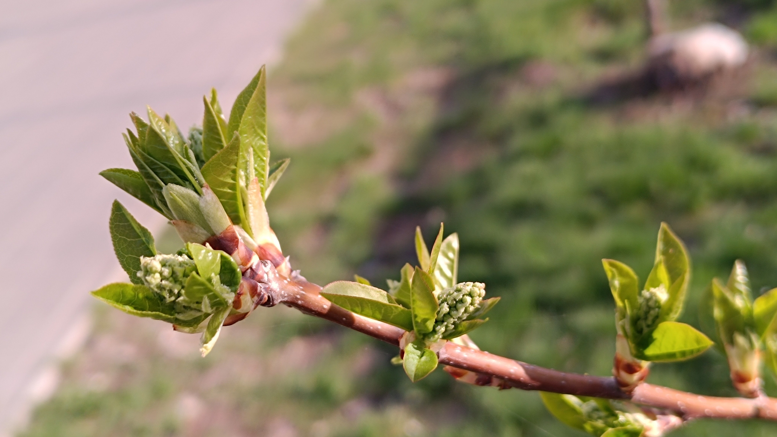 Читальный зал. Марина Рыбкина — Глубинная психология