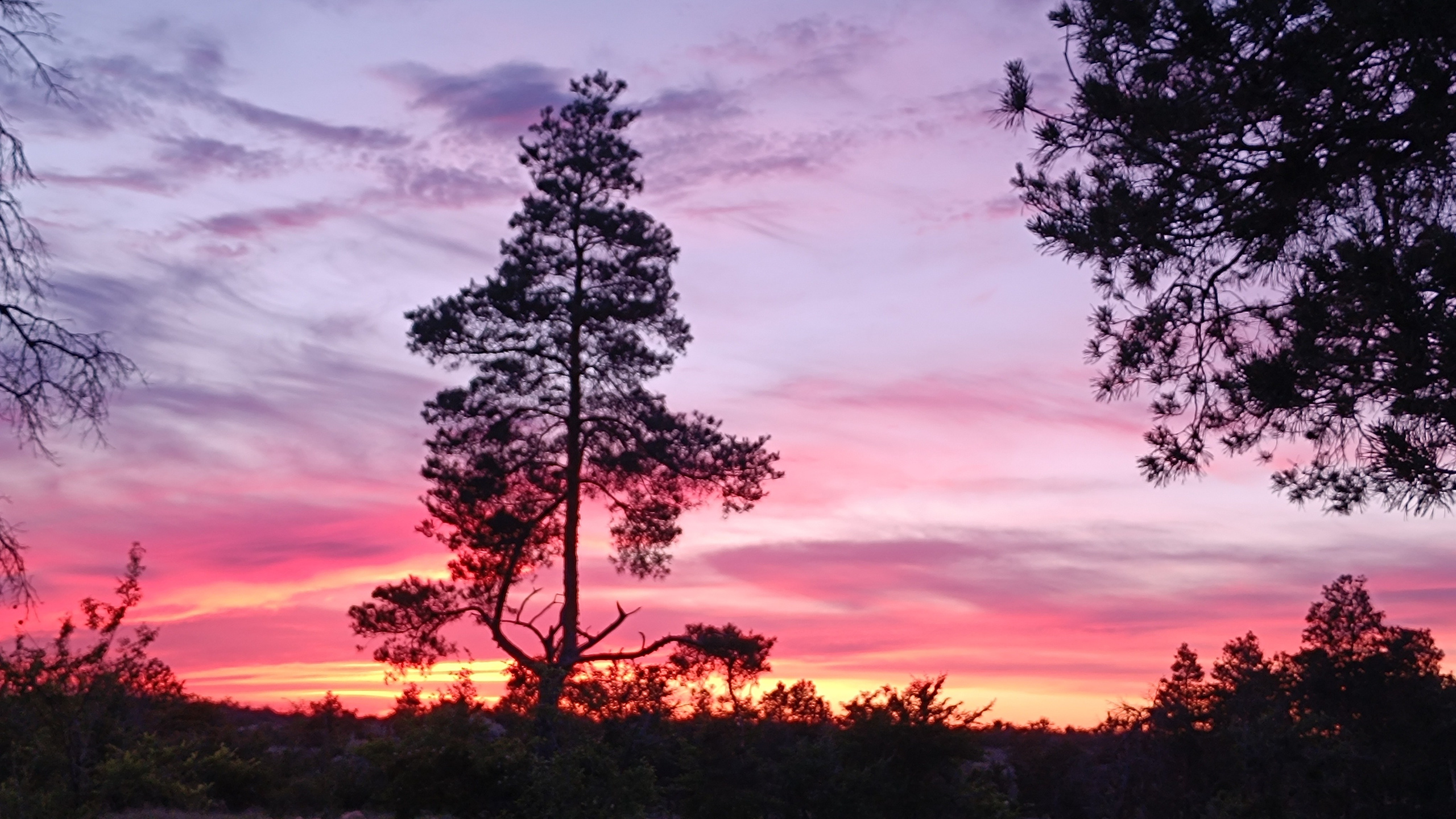 Читальный зал. Марина Рыбкина — Глубинная психология