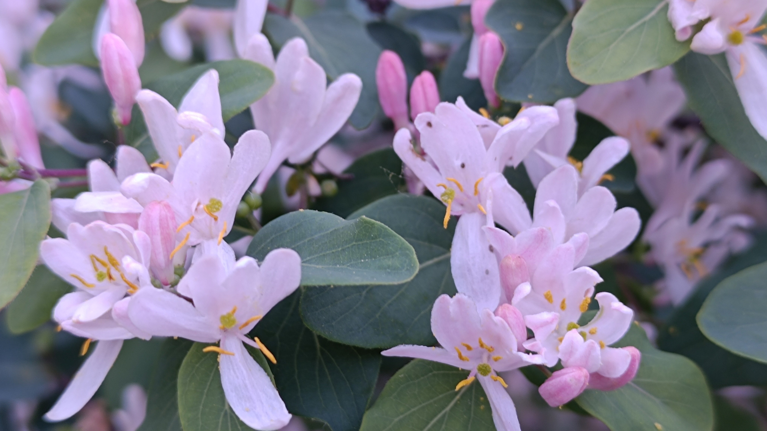 Читальный зал. Марина Рыбкина — Глубинная психология