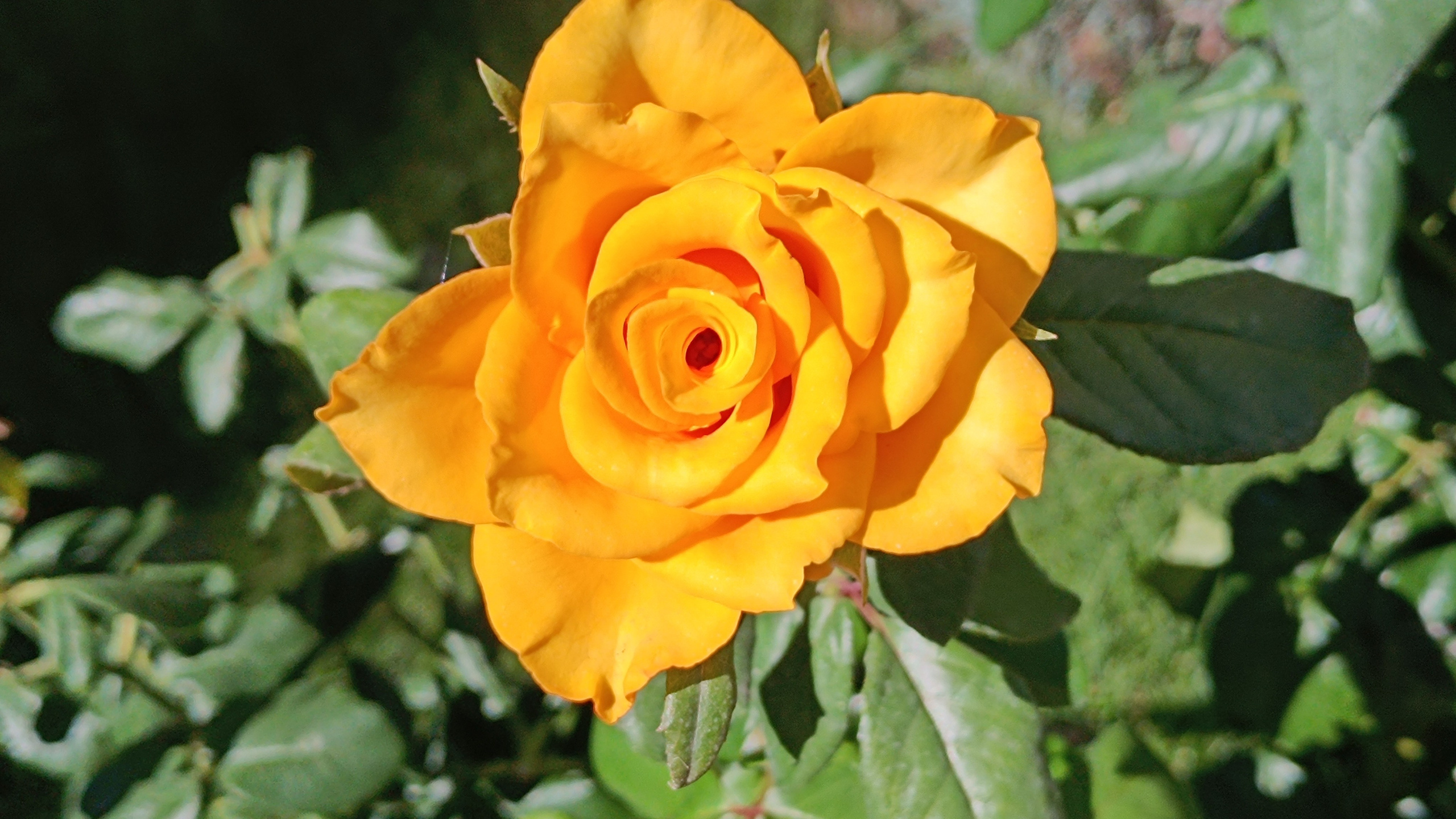 Читальный зал. Марина Рыбкина — Глубинная психология