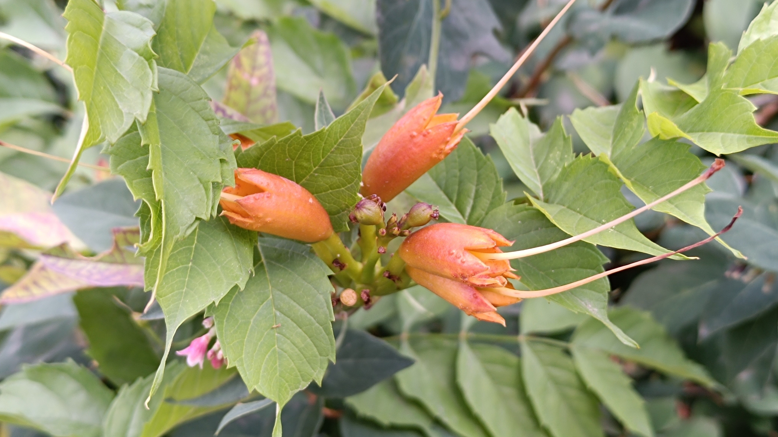 Читальный зал. Марина Рыбкина — Глубинная психология