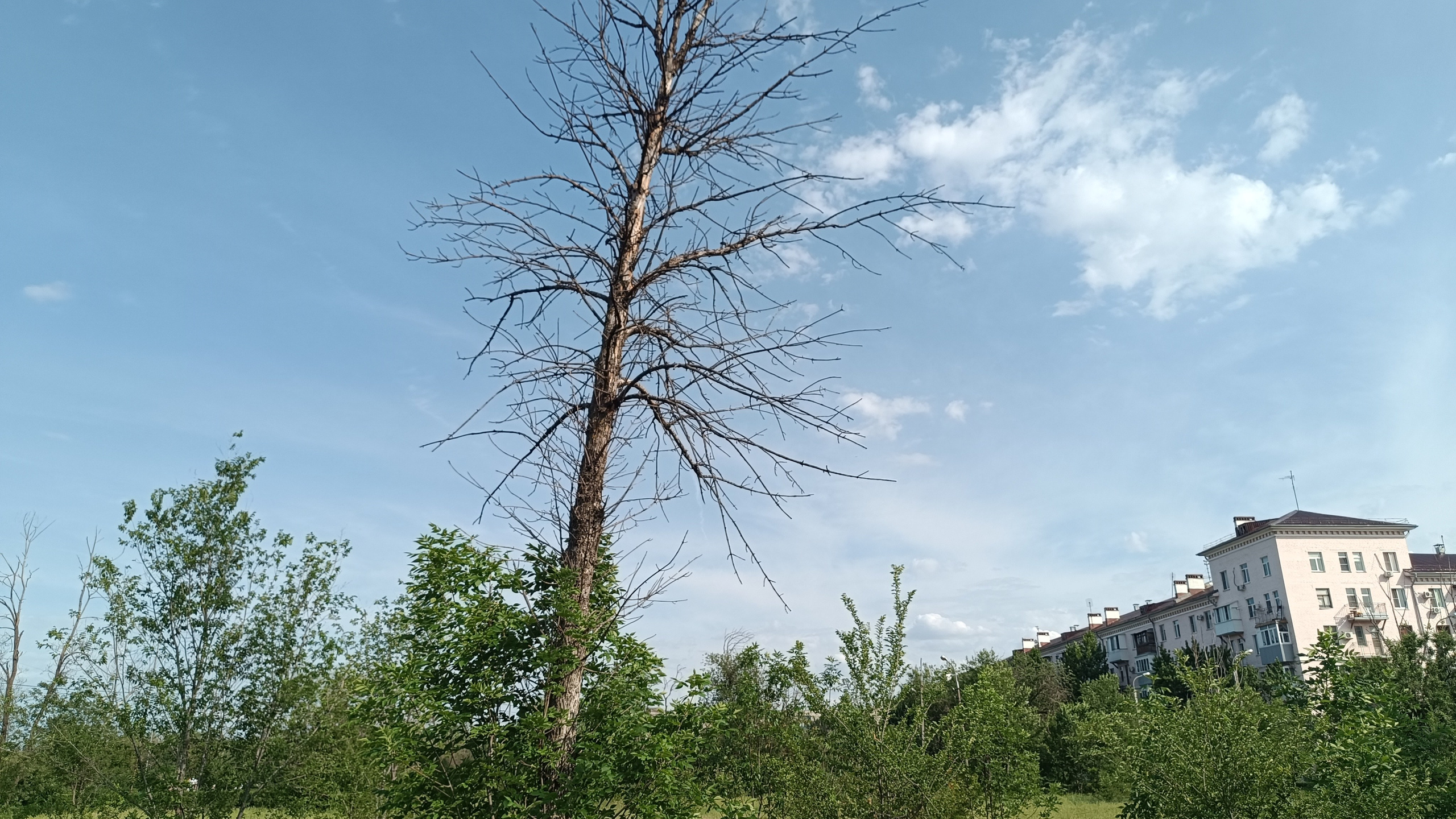 Читальный зал. Марина Рыбкина — Глубинная психология