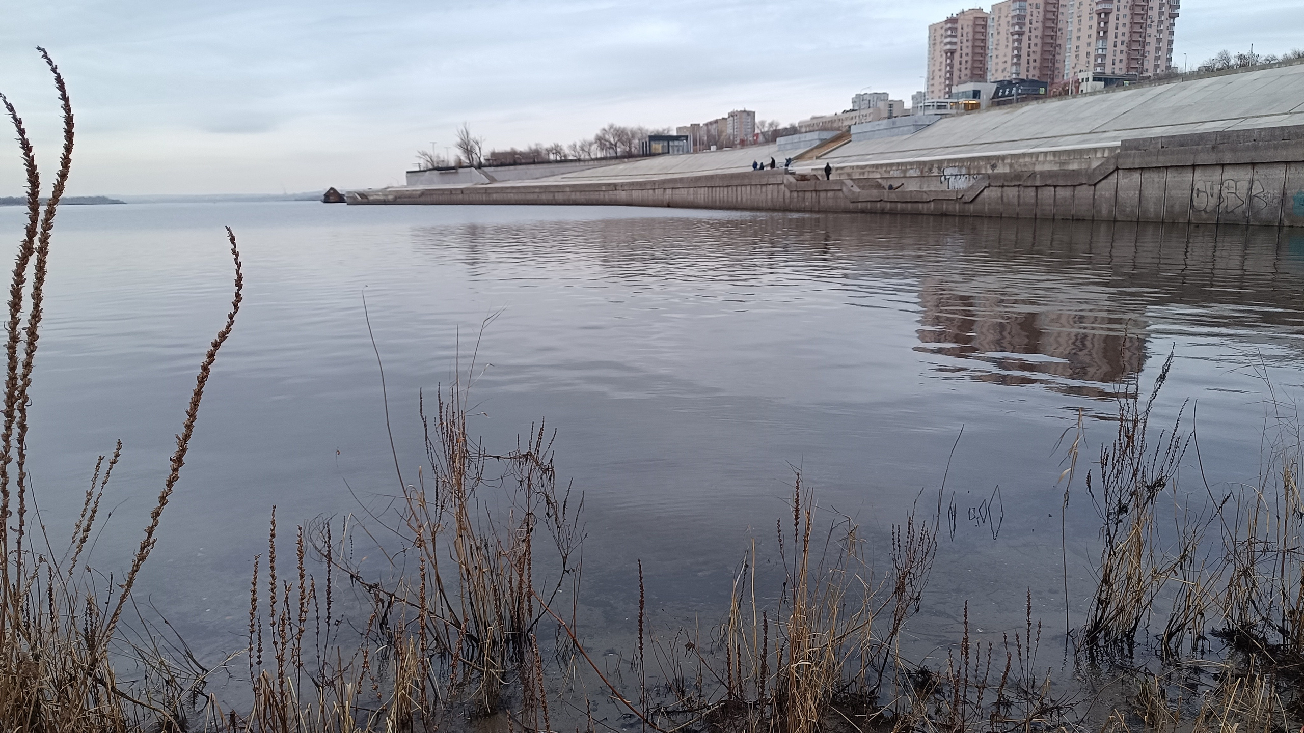 Читальный зал. Марина Рыбкина — Глубинная психология