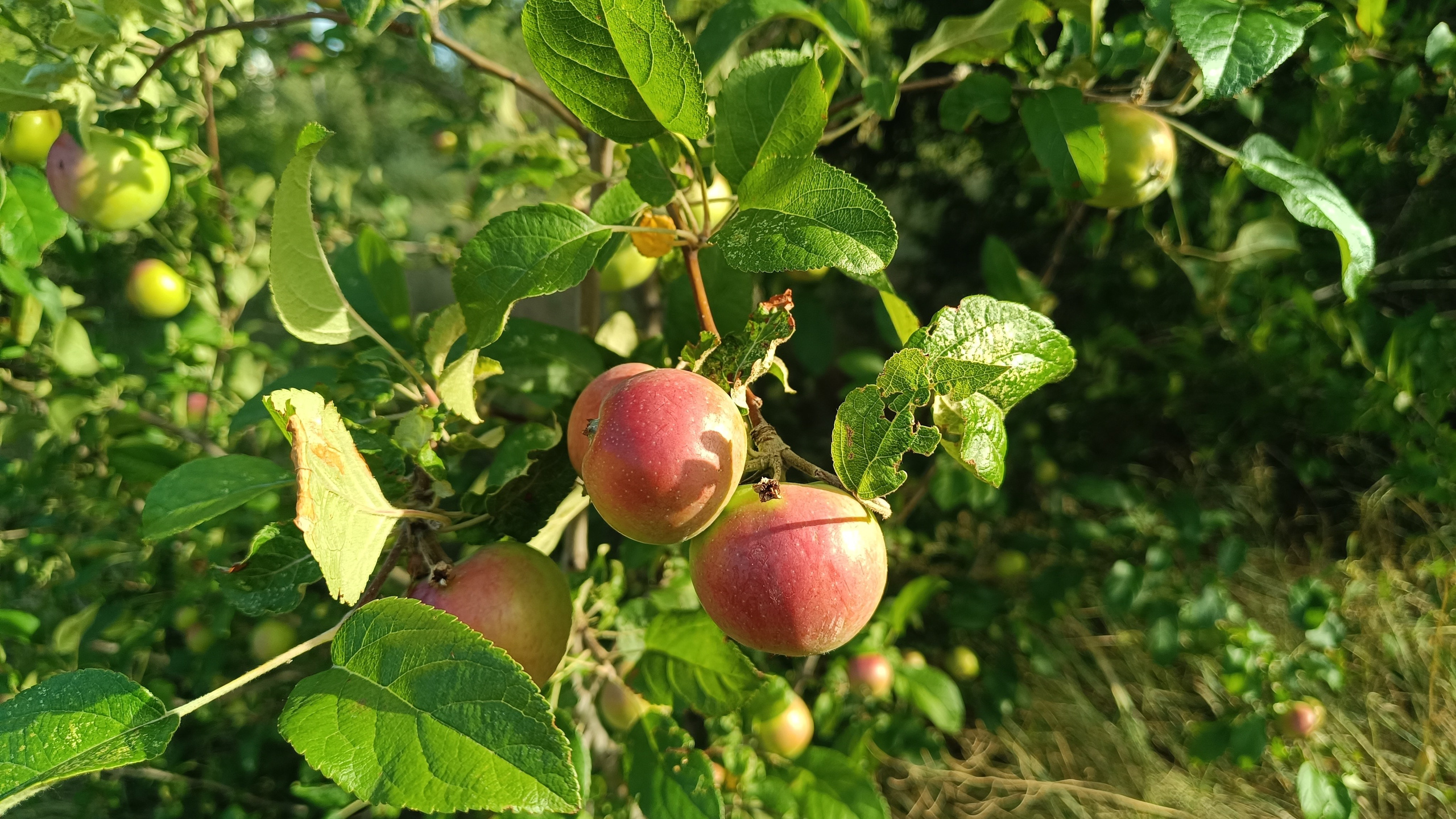 Читальный зал. Марина Рыбкина — Глубинная психология