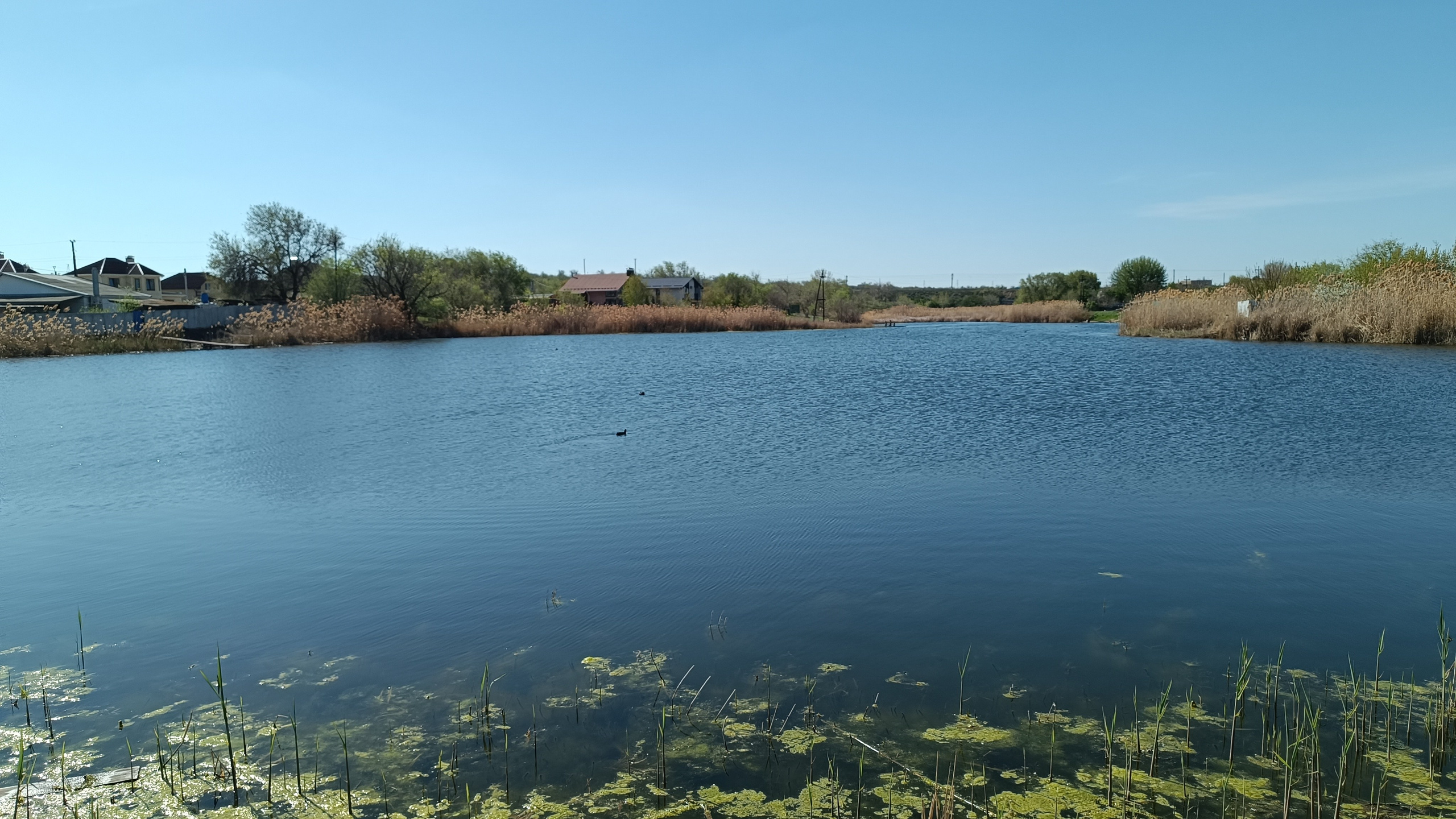 Читальный зал. Марина Рыбкина — Глубинная психология