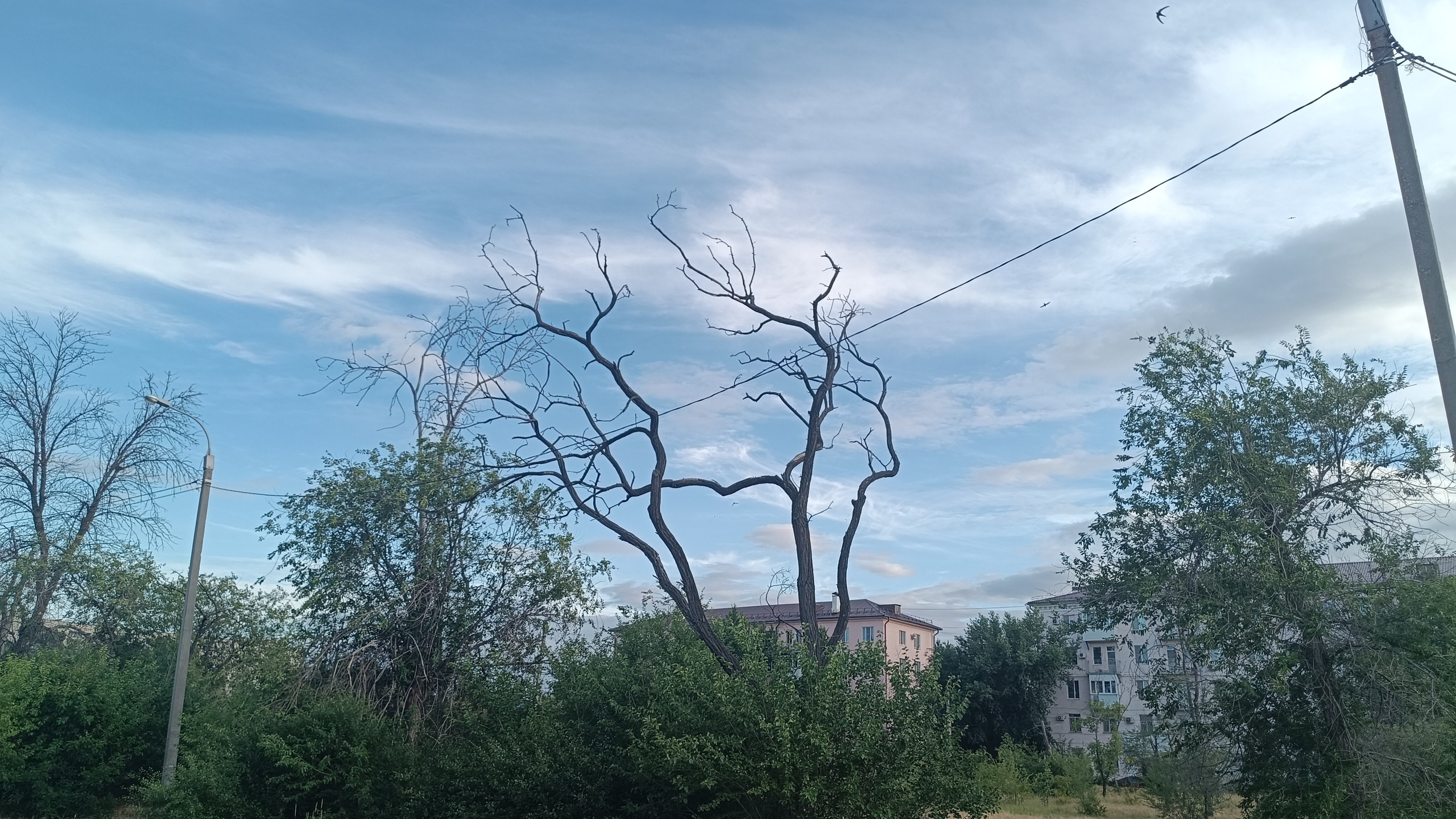 Читальный зал. Марина Рыбкина — Глубинная психология