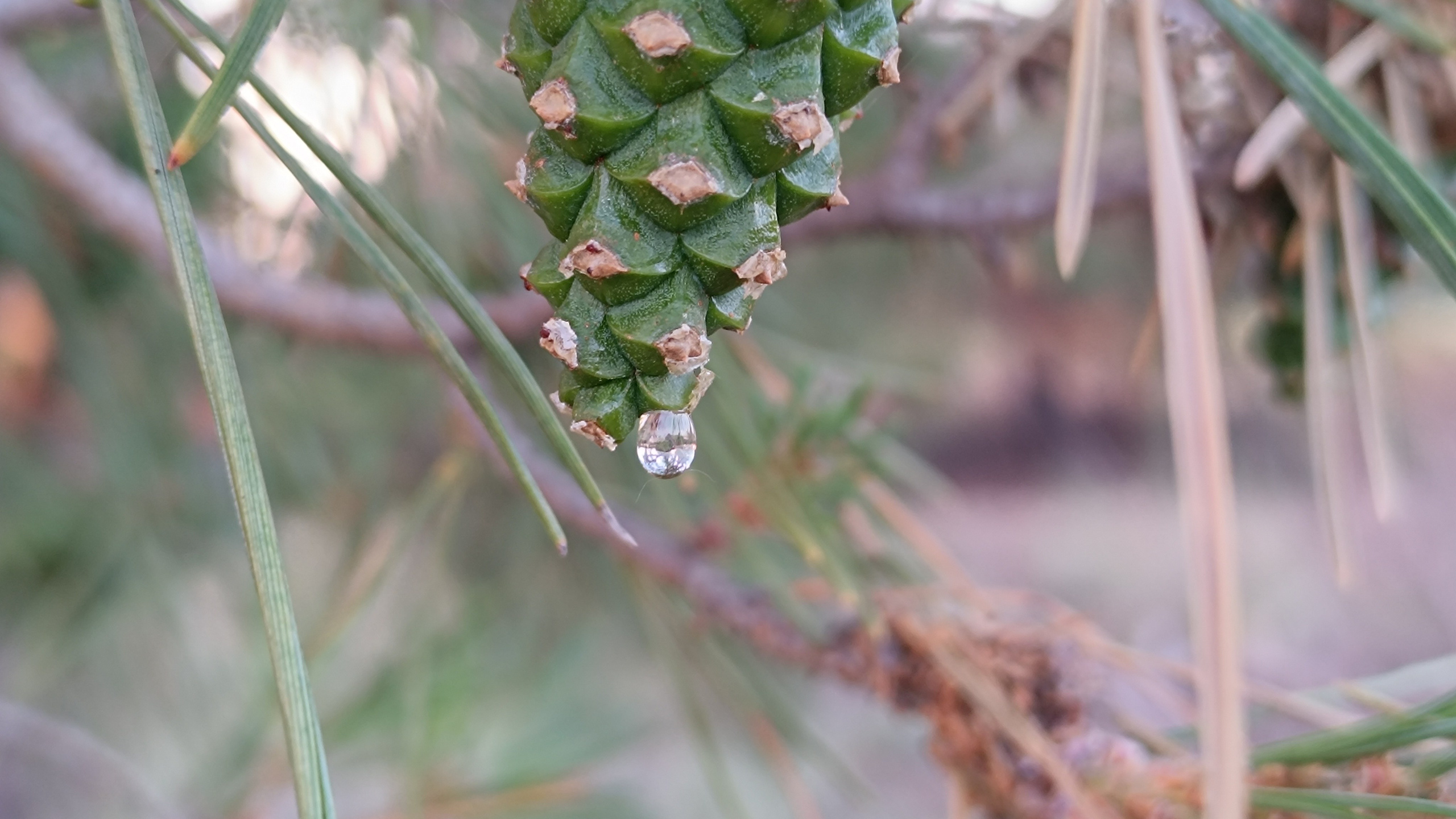 Читальный зал. Марина Рыбкина — Глубинная психология