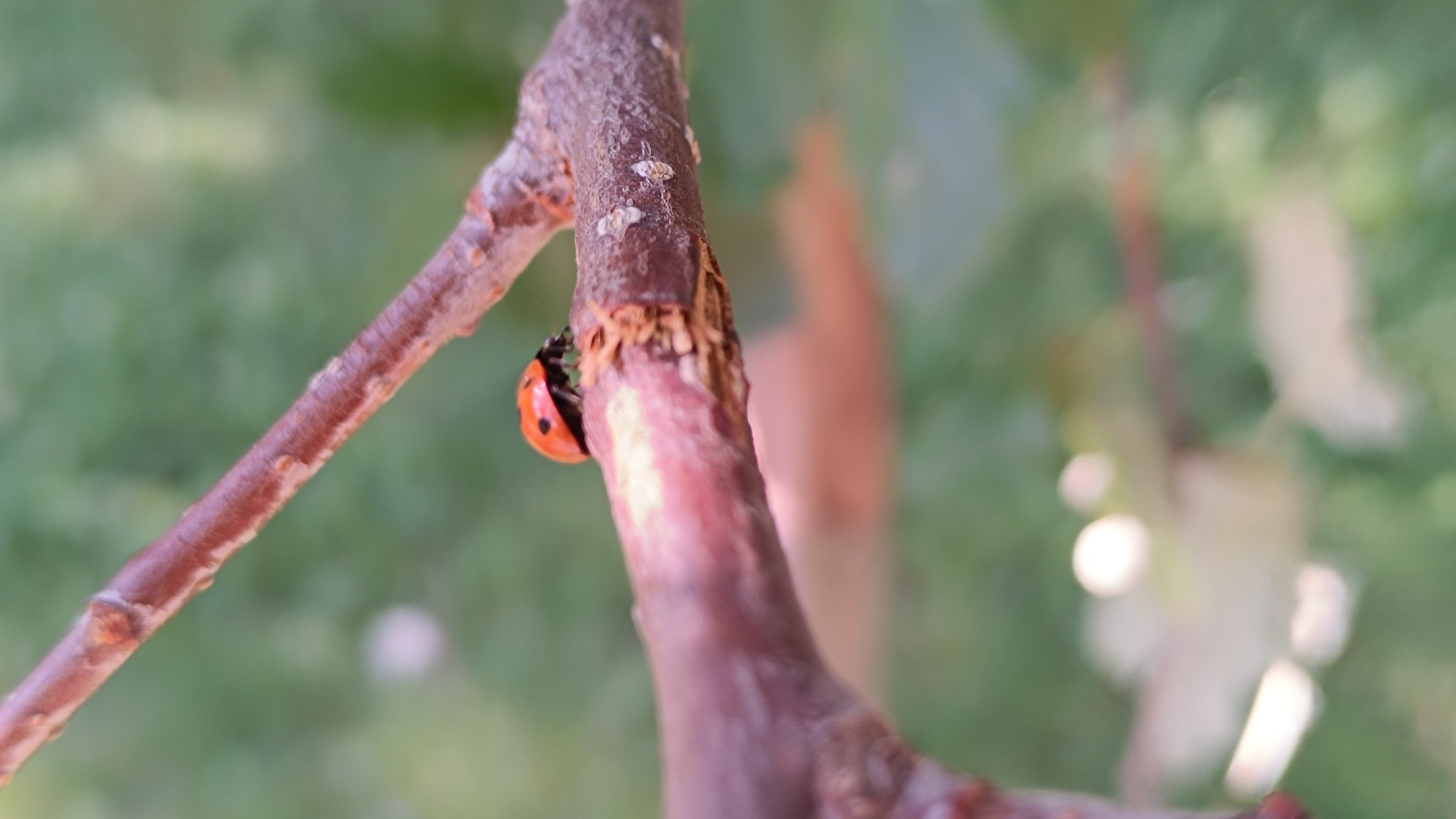 Читальный зал. Марина Рыбкина — Глубинная психология