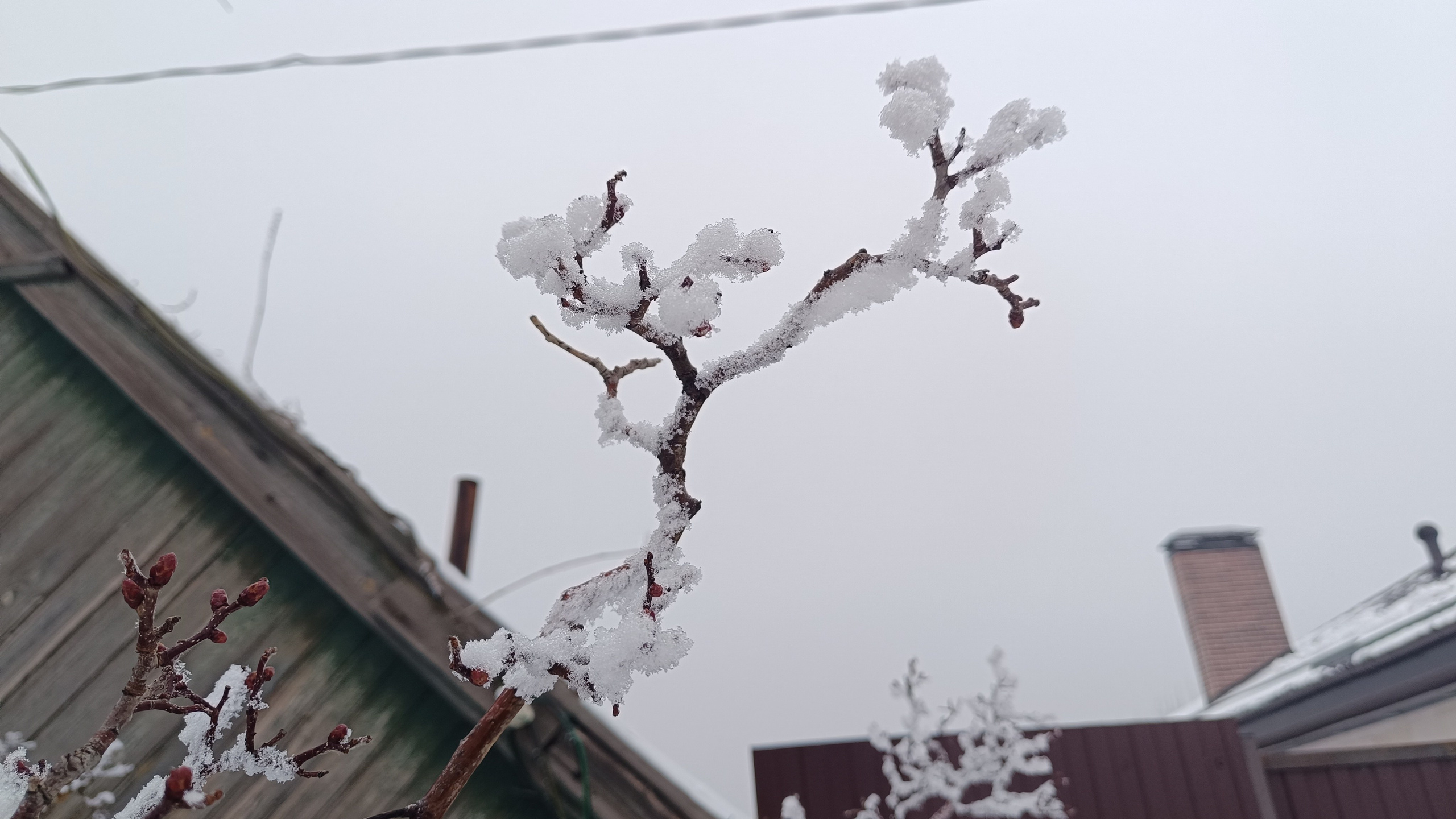 Читальный зал. Марина Рыбкина — Глубинная психология