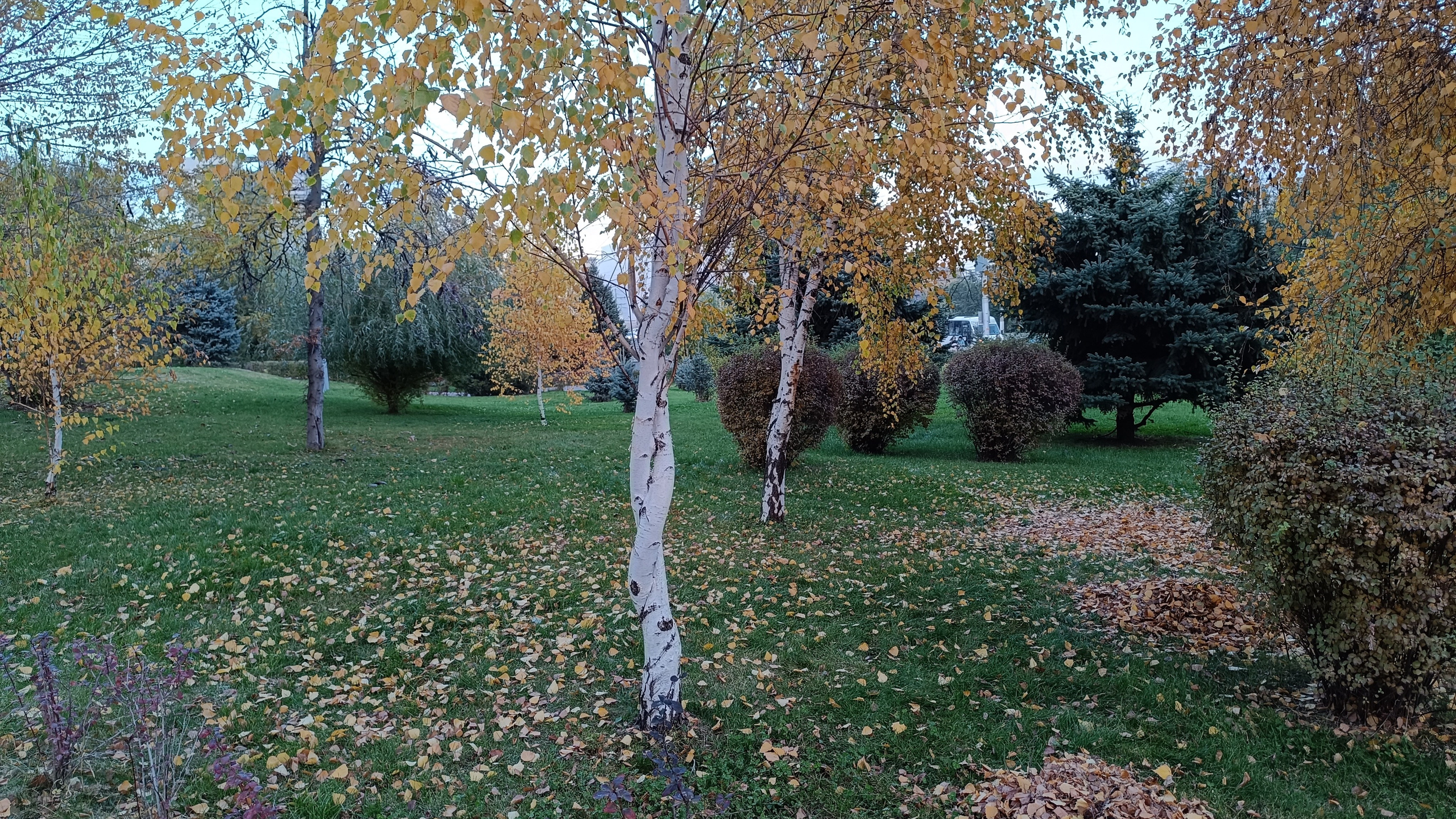 Читальный зал. Марина Рыбкина — Глубинная психология