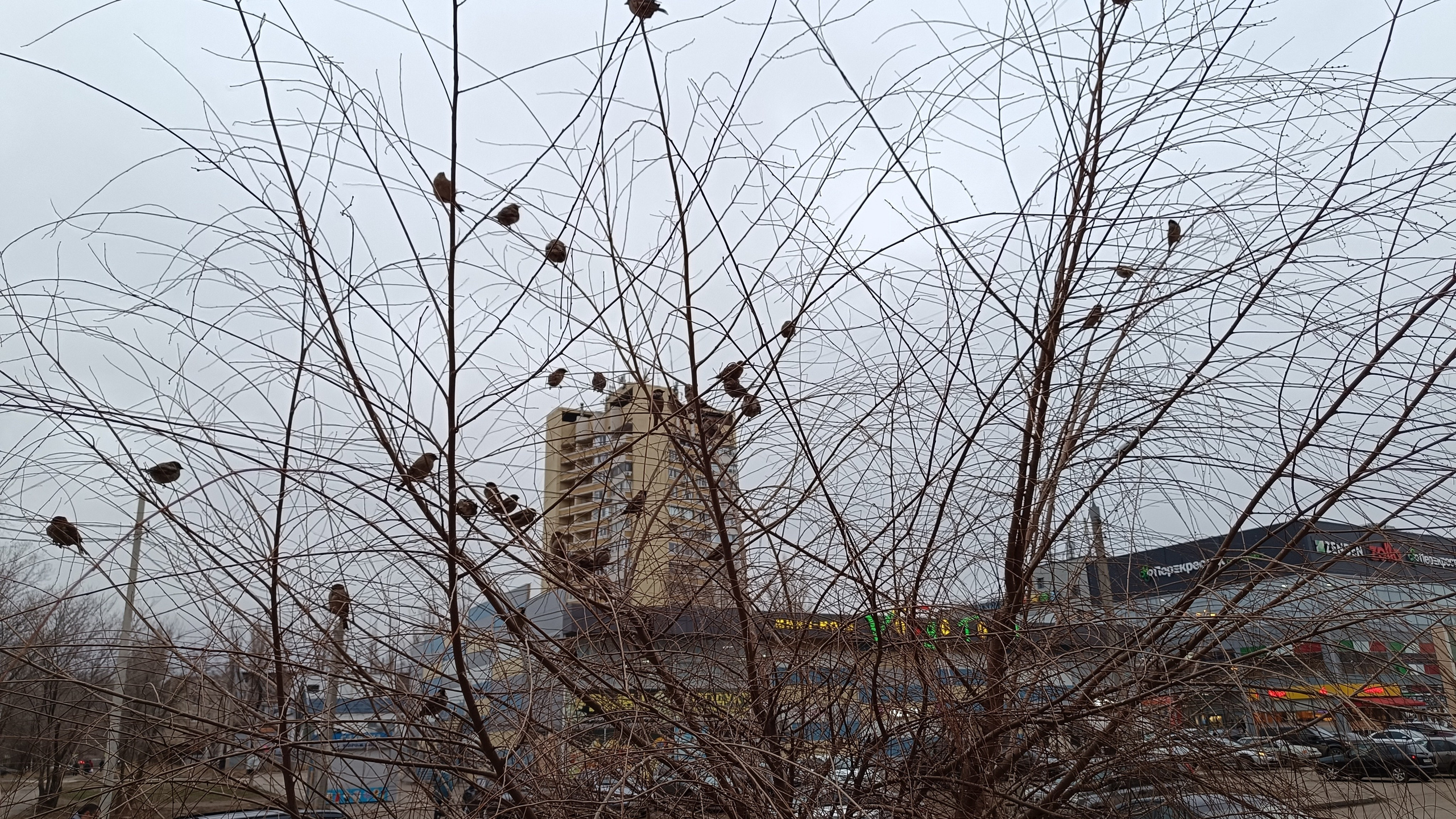 Читальный зал. Марина Рыбкина — Глубинная психология