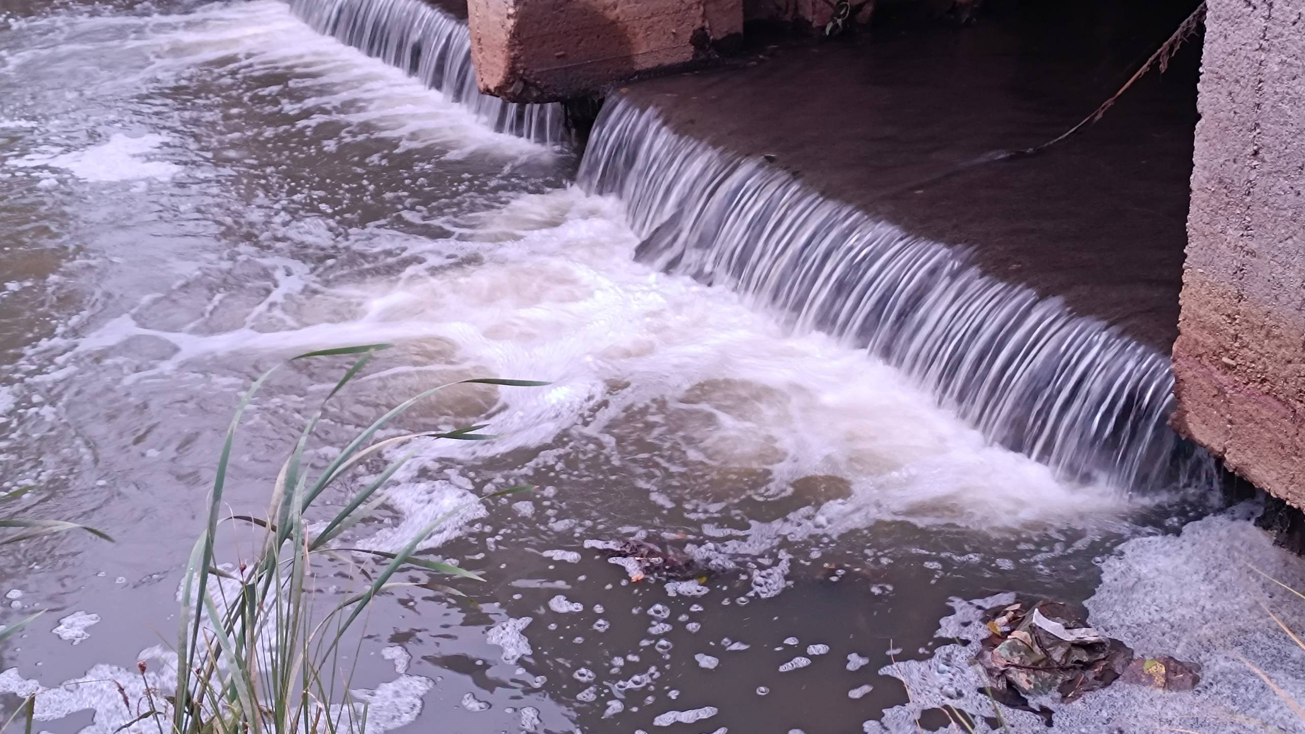 Читальный зал. Марина Рыбкина — Глубинная психология