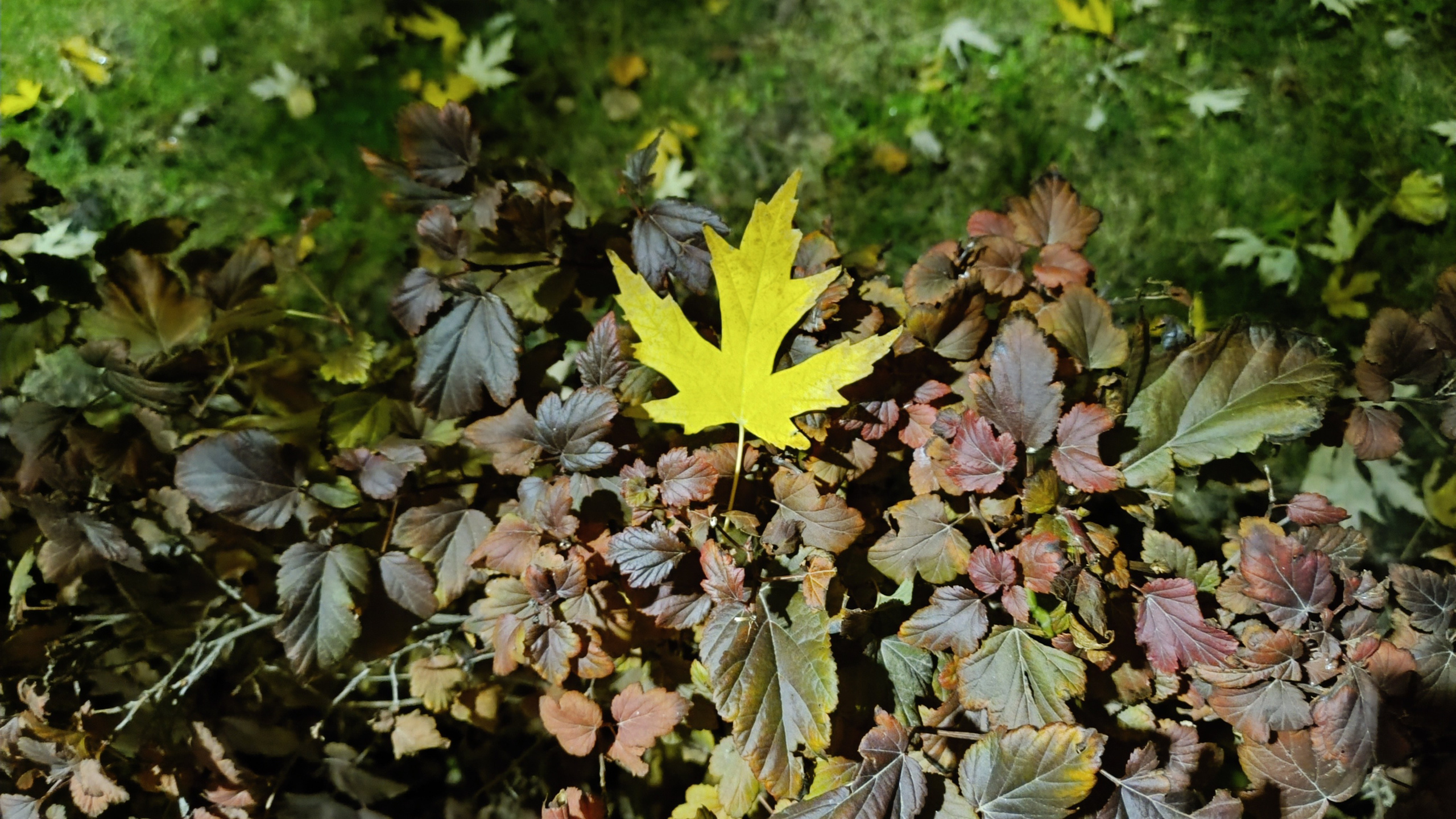 Читальный зал. Марина Рыбкина — Глубинная психология