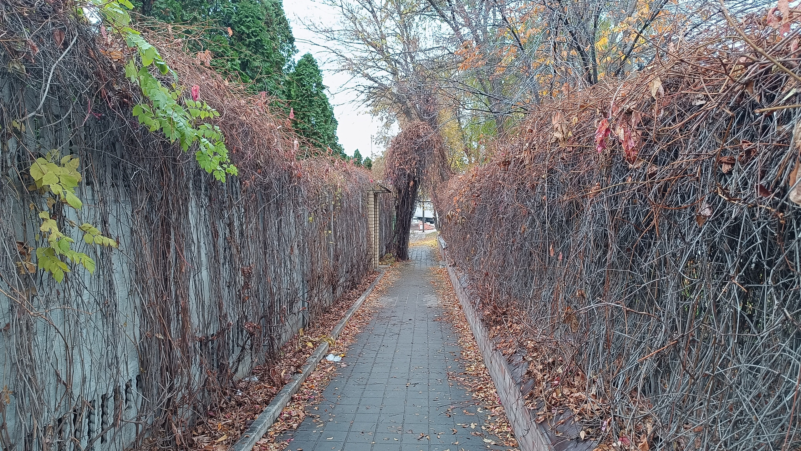 Читальный зал. Марина Рыбкина — Глубинная психология