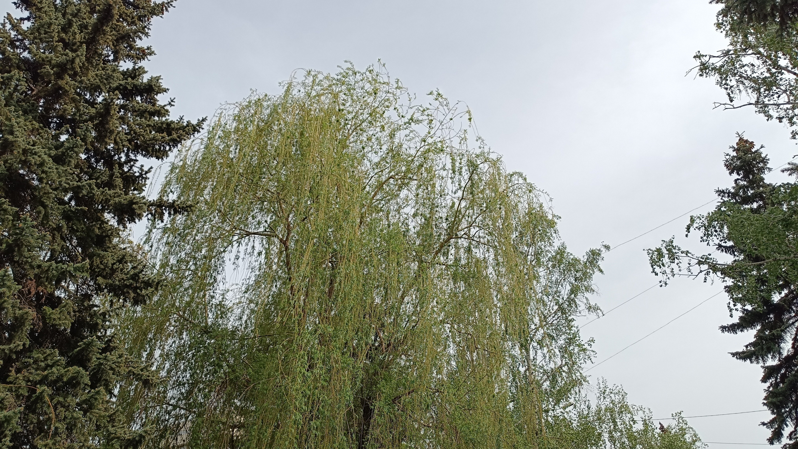 Читальный зал. Марина Рыбкина — Глубинная психология