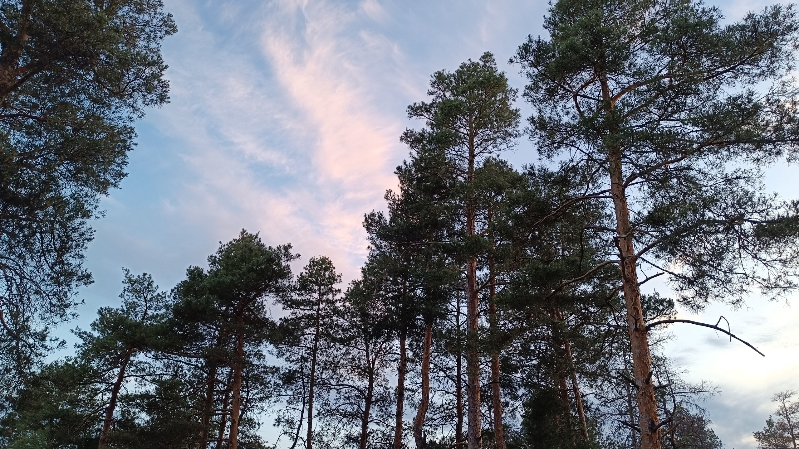 Читальный зал. Марина Рыбкина — Глубинная психология