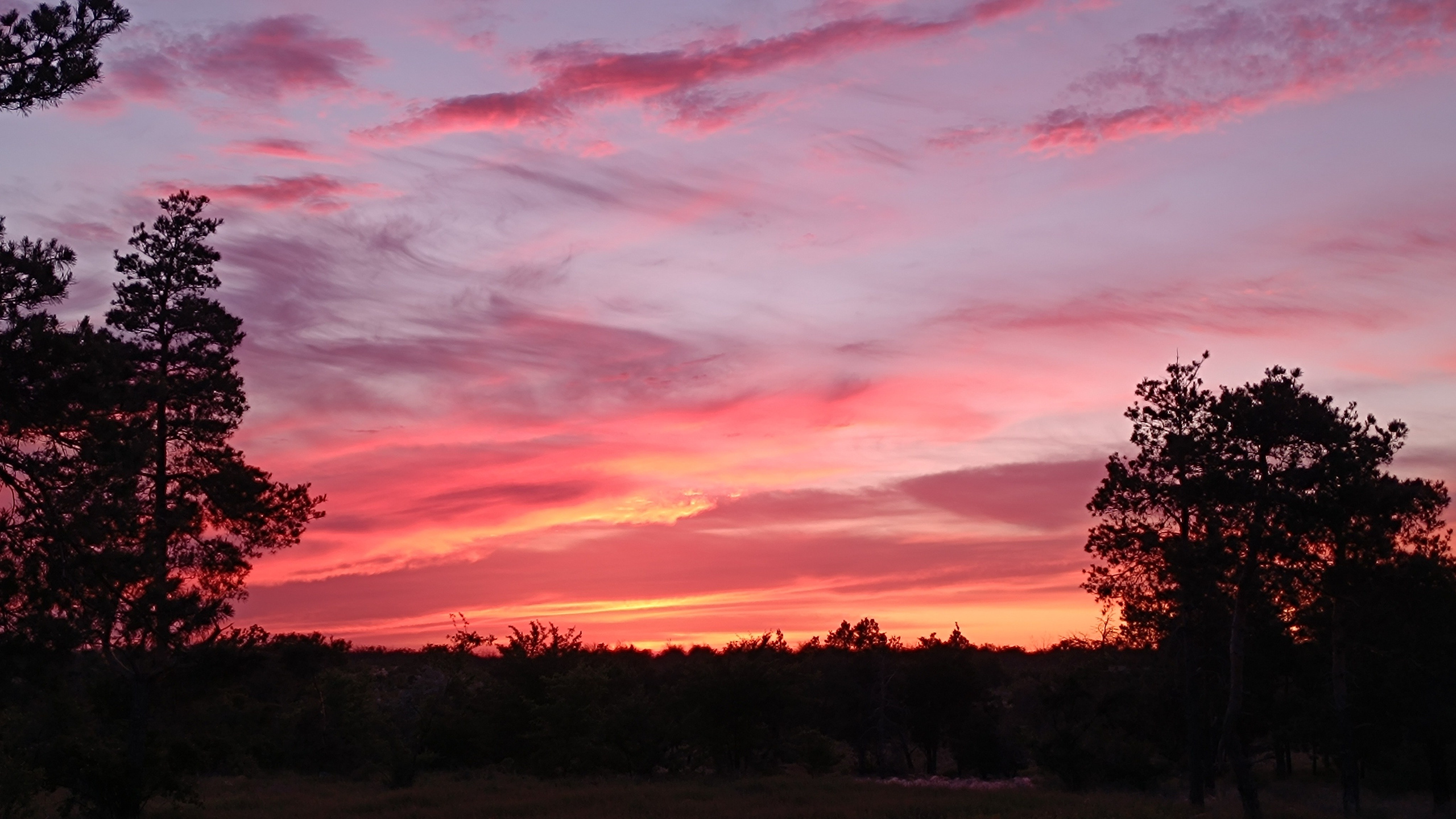 Читальный зал. Марина Рыбкина — Глубинная психология