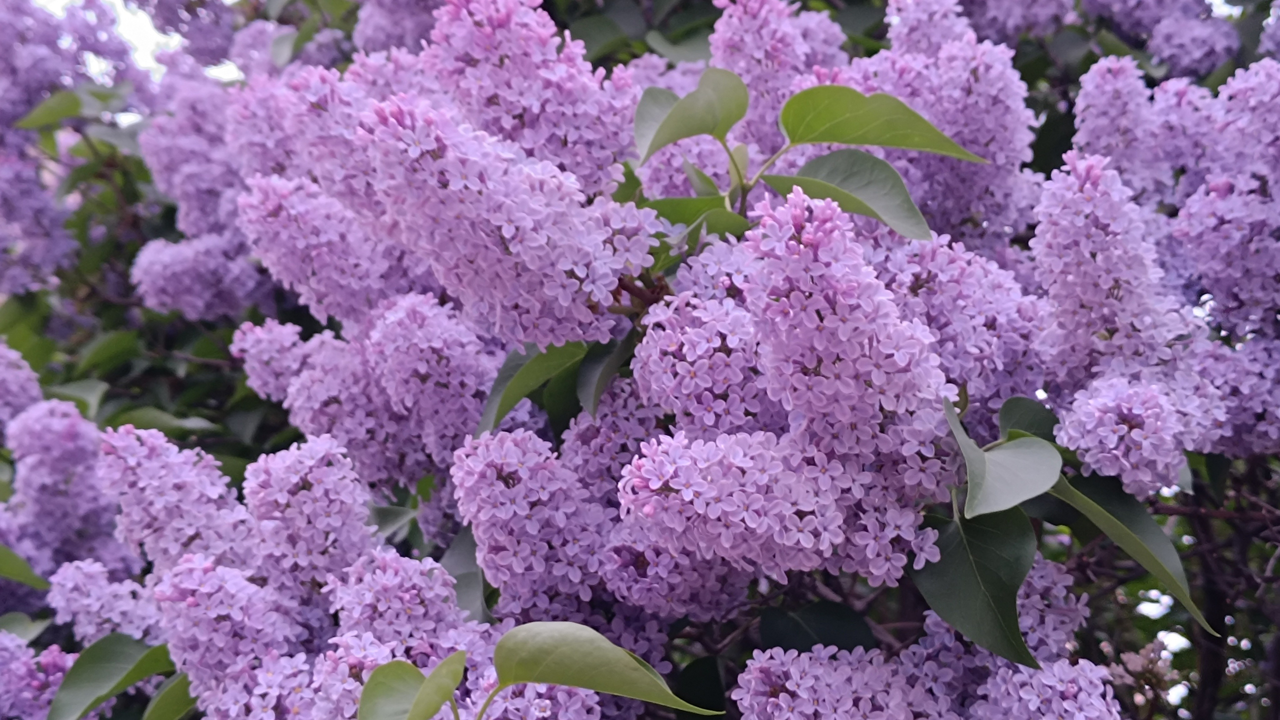 Читальный зал. Марина Рыбкина — Глубинная психология